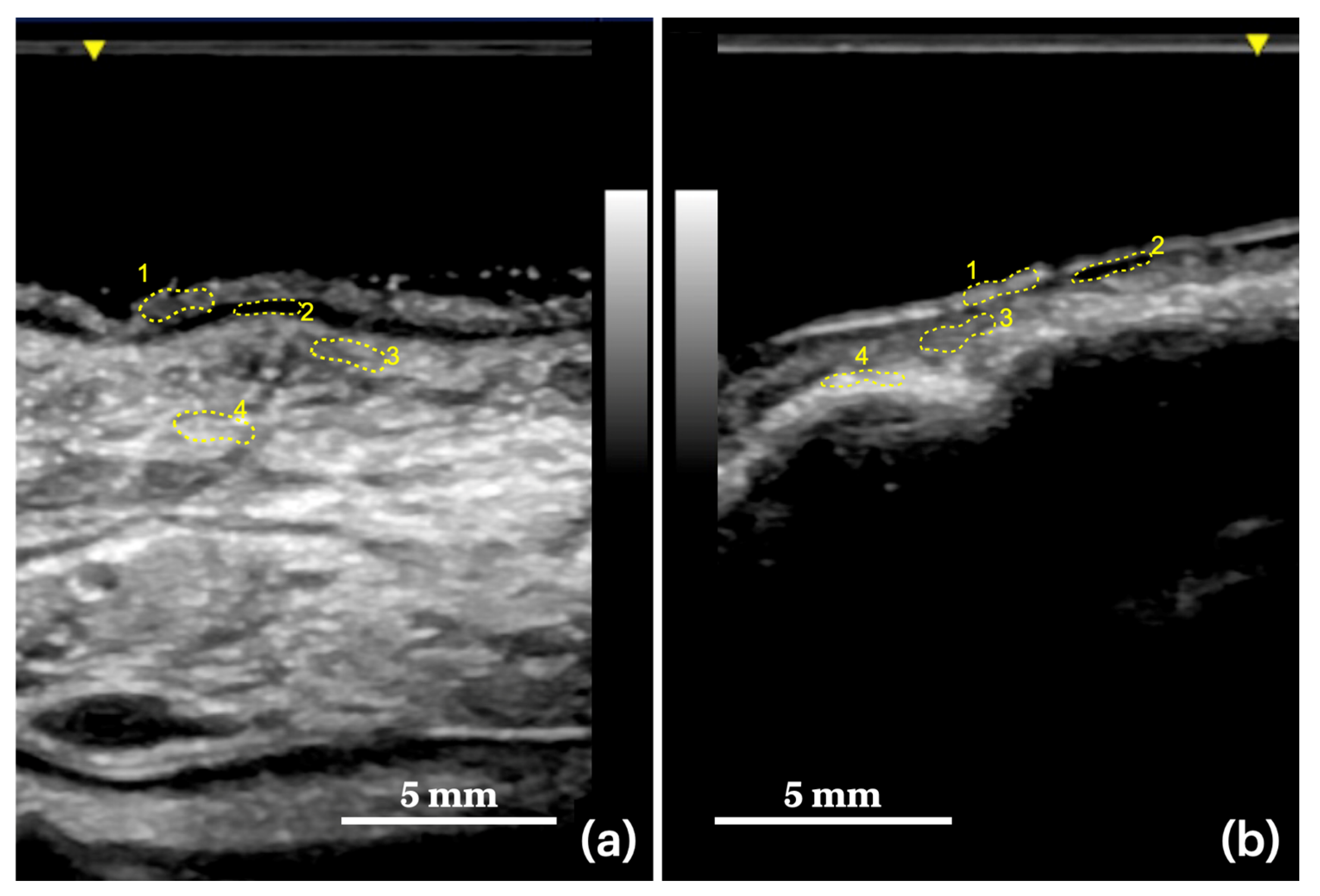 Applsci 12 06829 g001