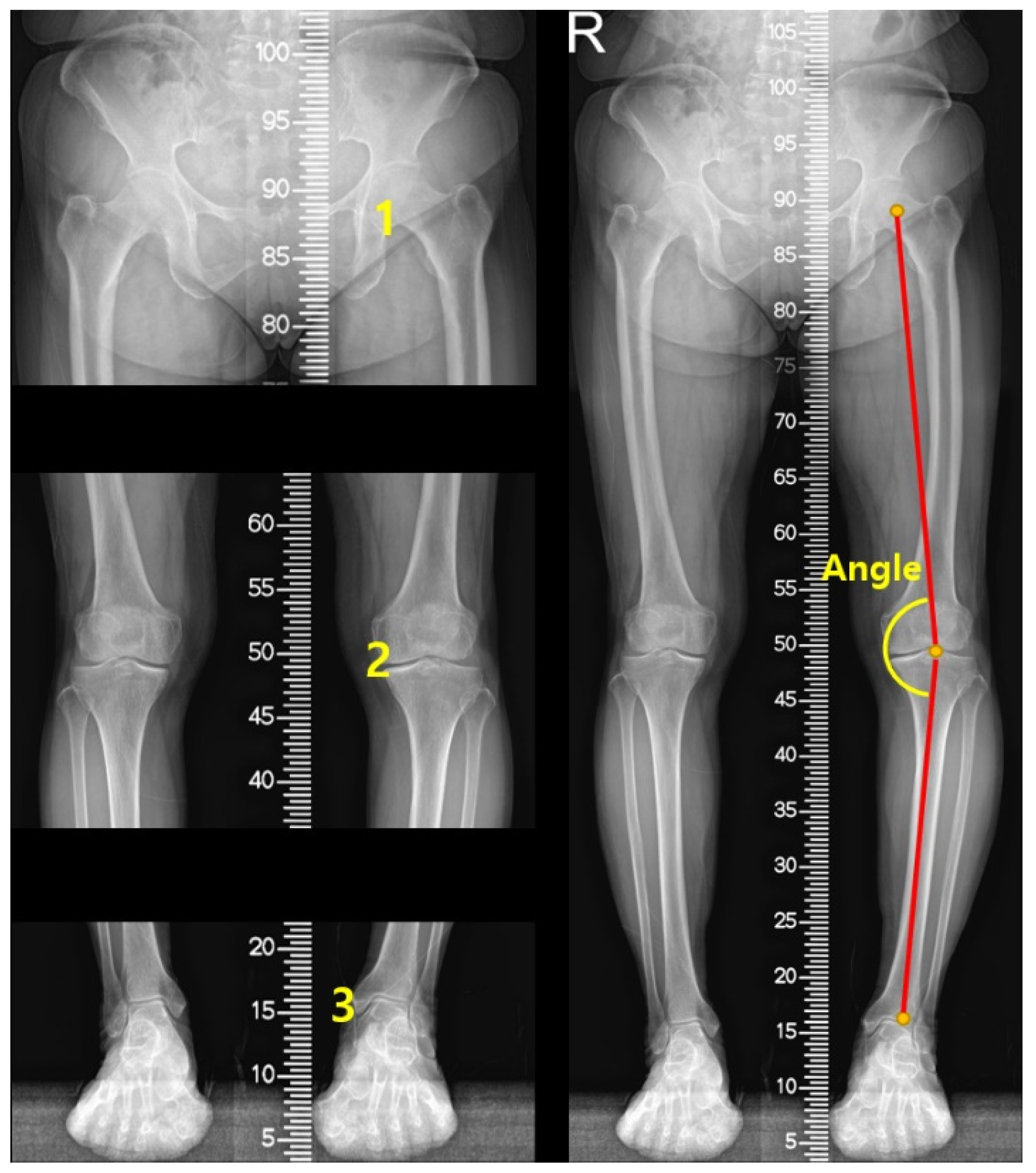 Applsci 12 06834 g002 Applsci 12 06834 g002