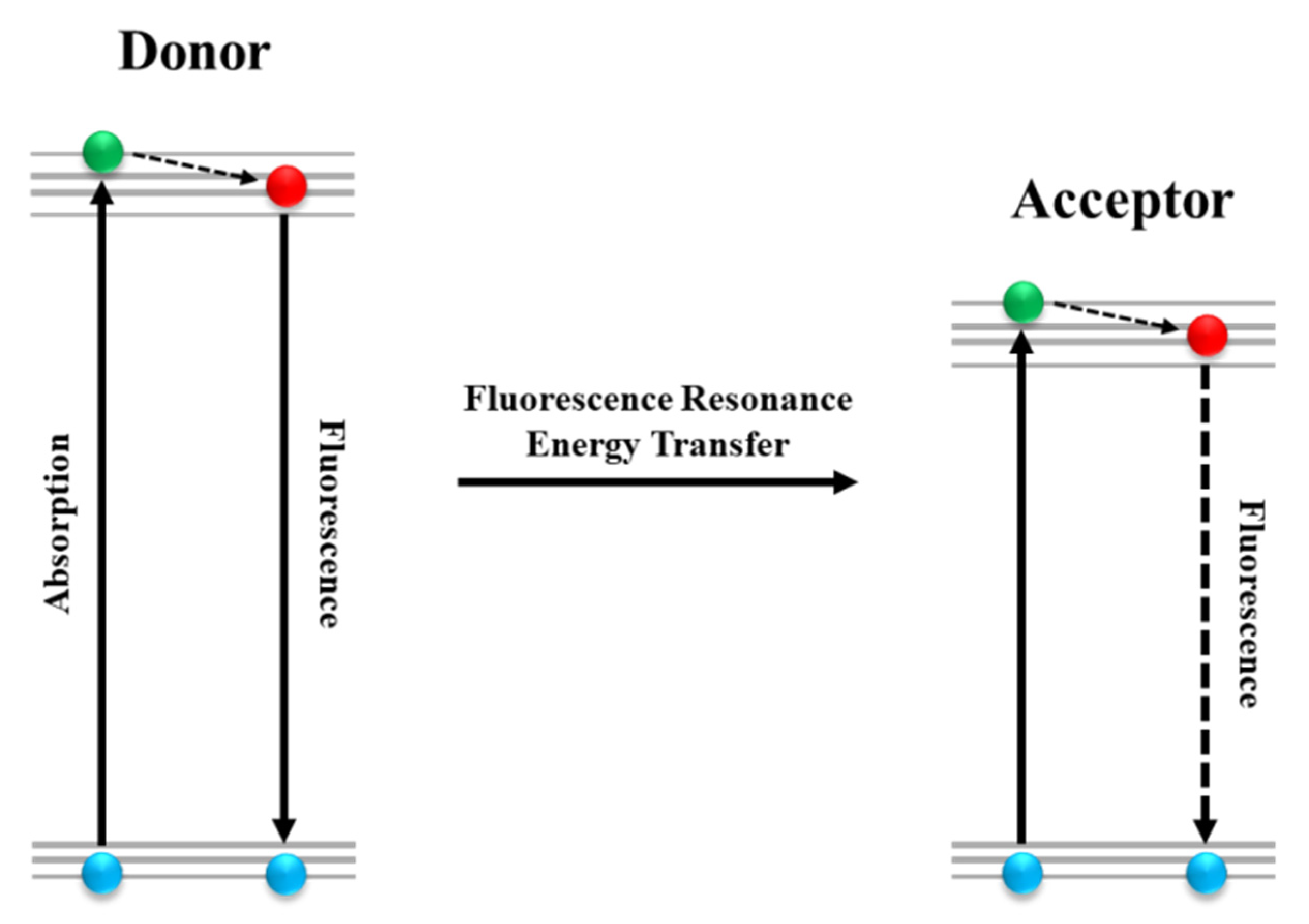 Applsci 12 06844 g002 550