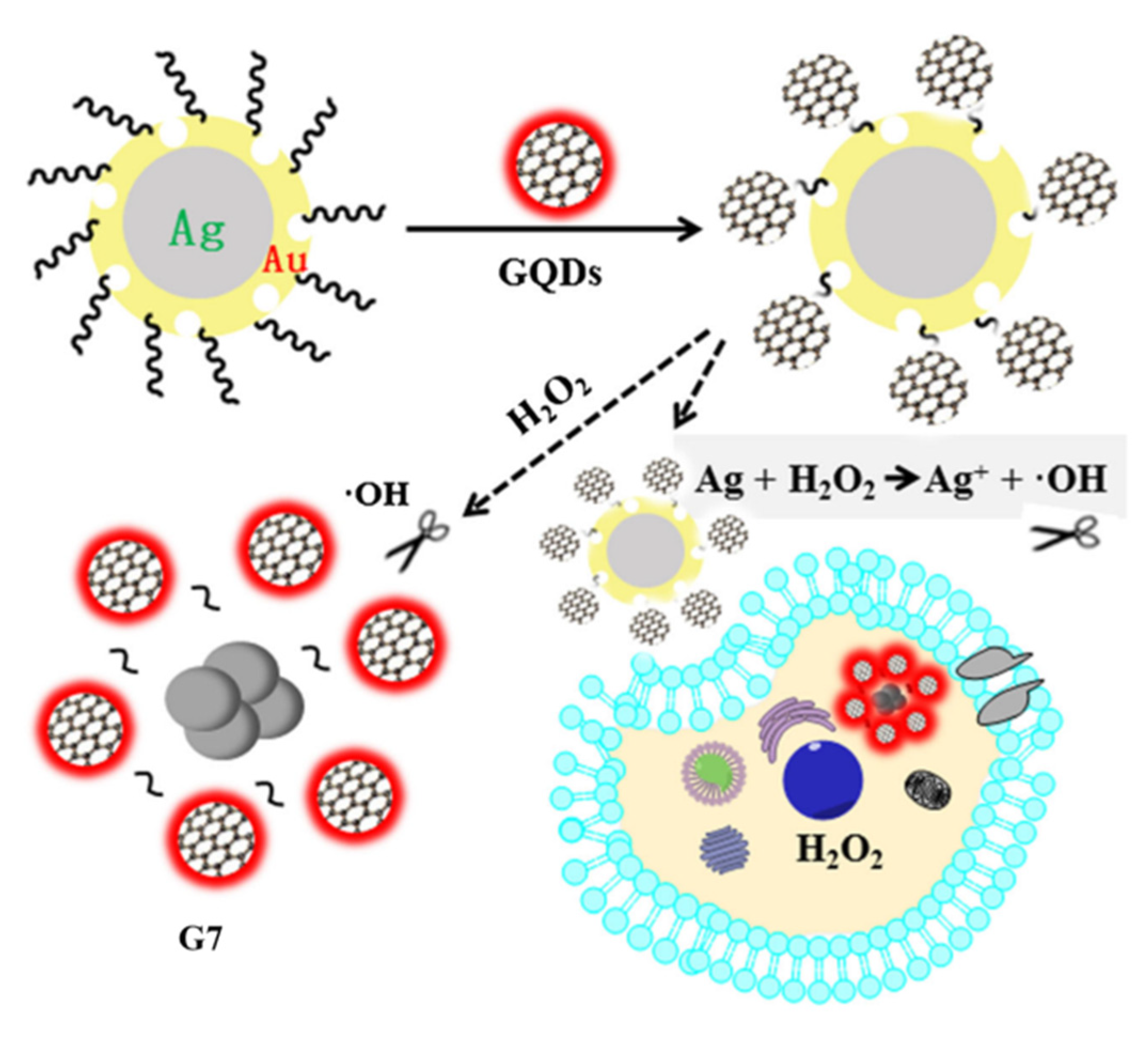 Applsci 12 06844 g009 550