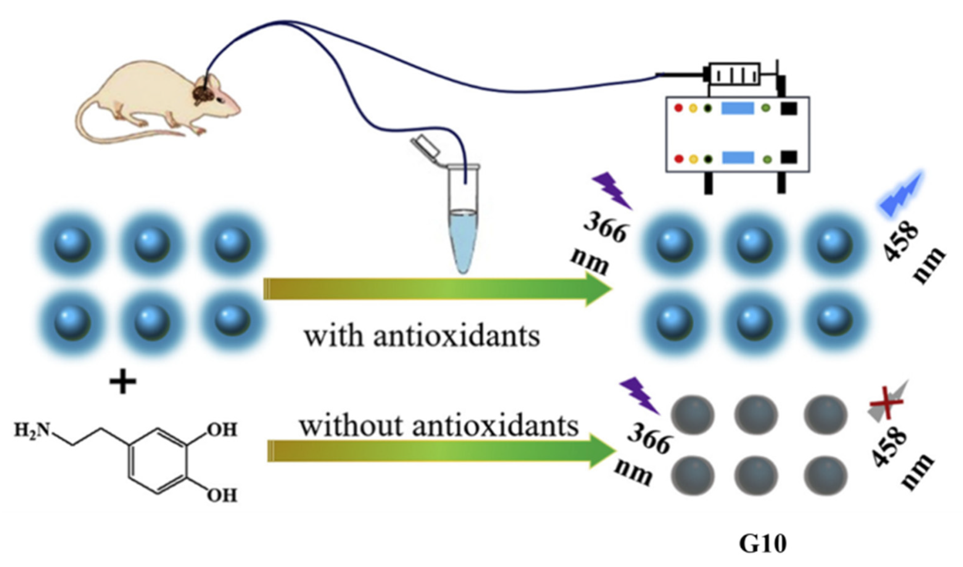 Applsci 12 06844 g012 550