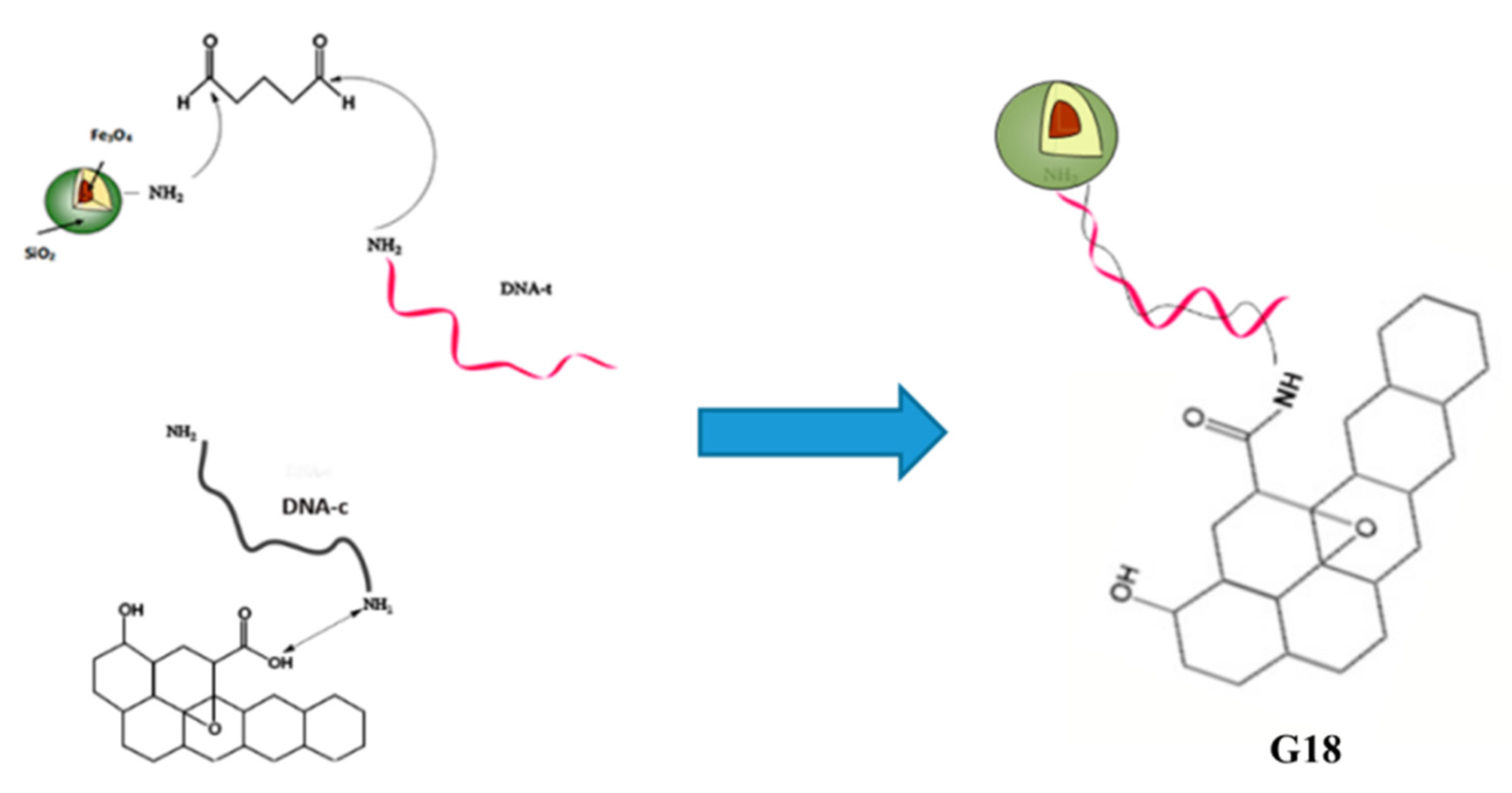 Applsci 12 06844 g020 550