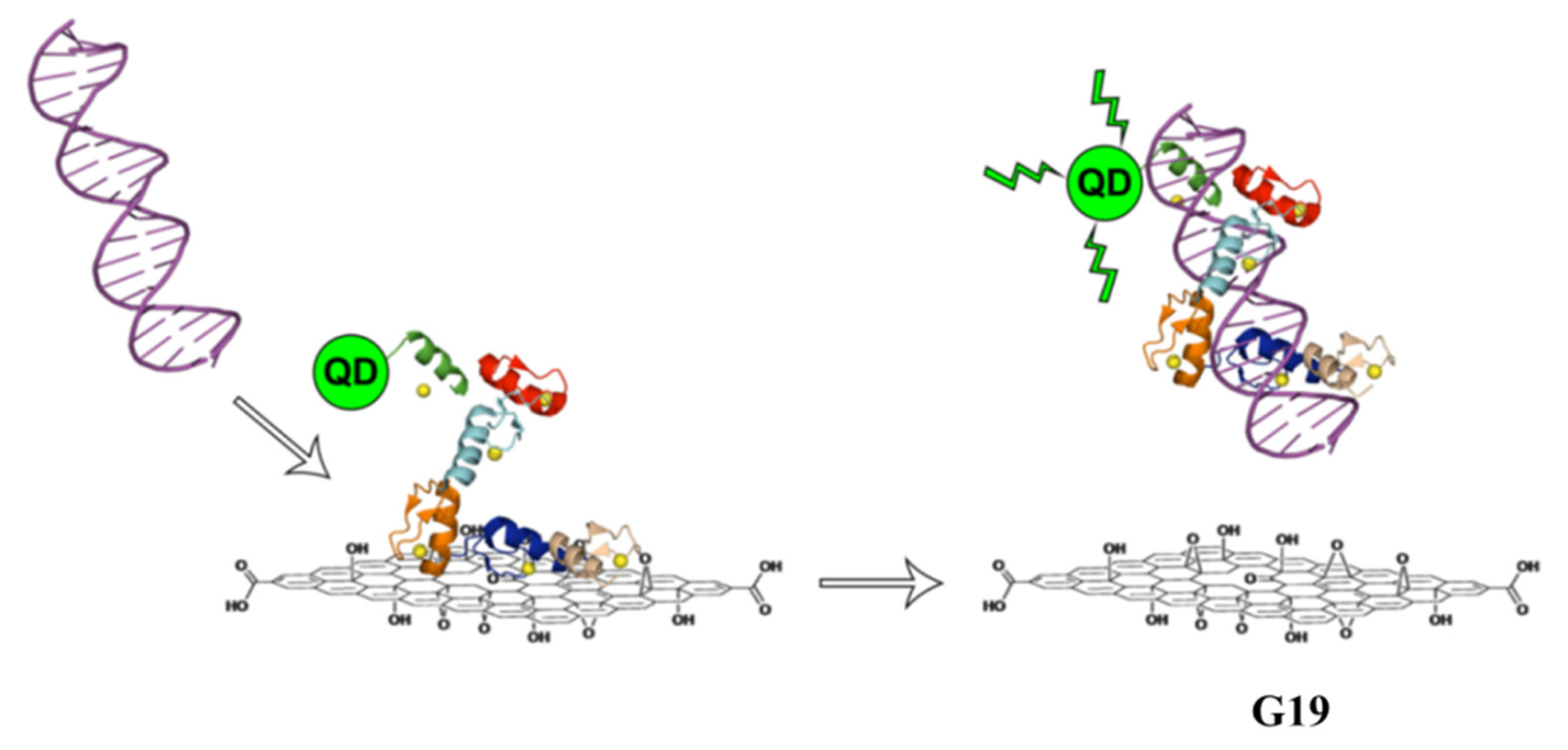 Applsci 12 06844 g021 550