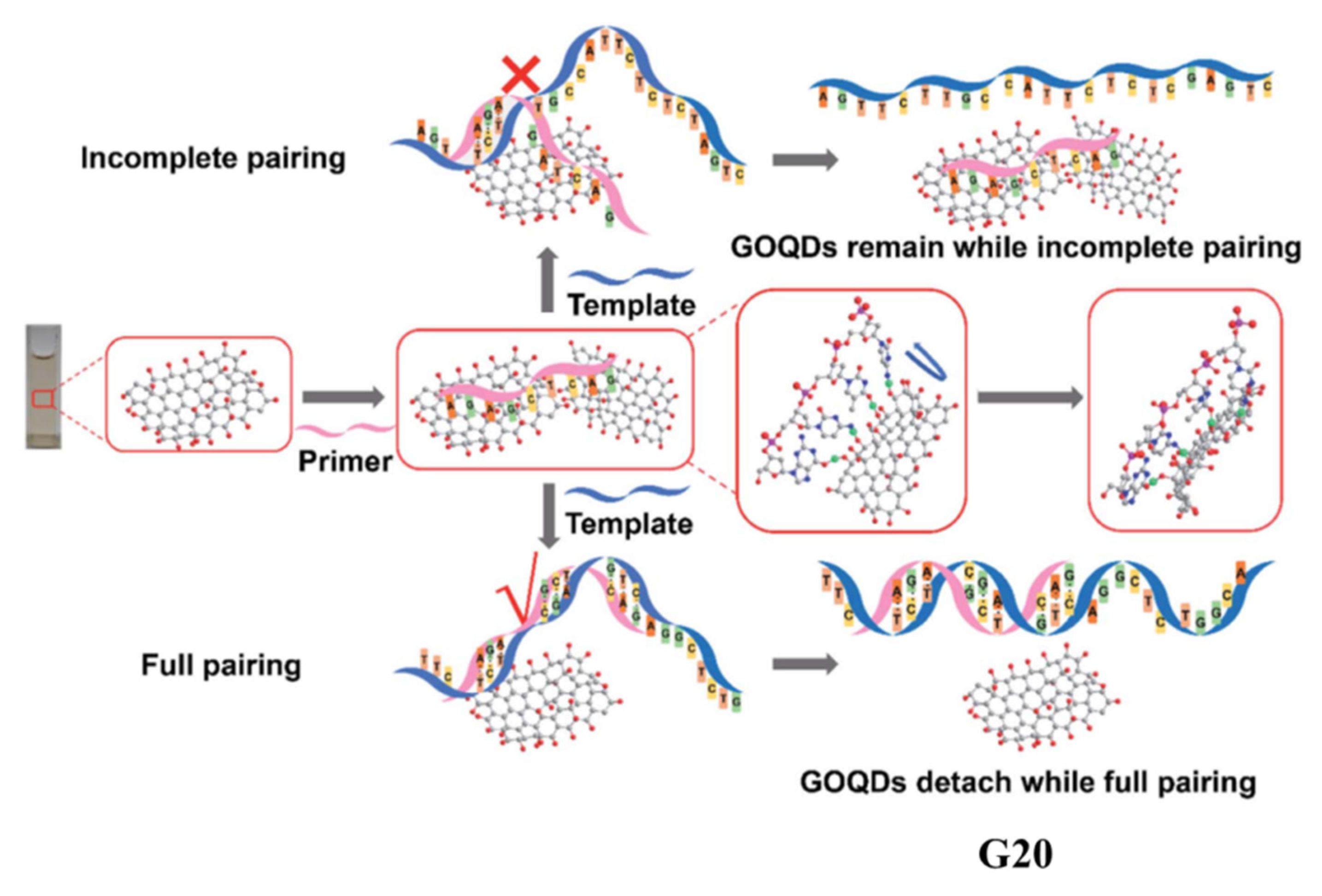 Applsci 12 06844 g022 550