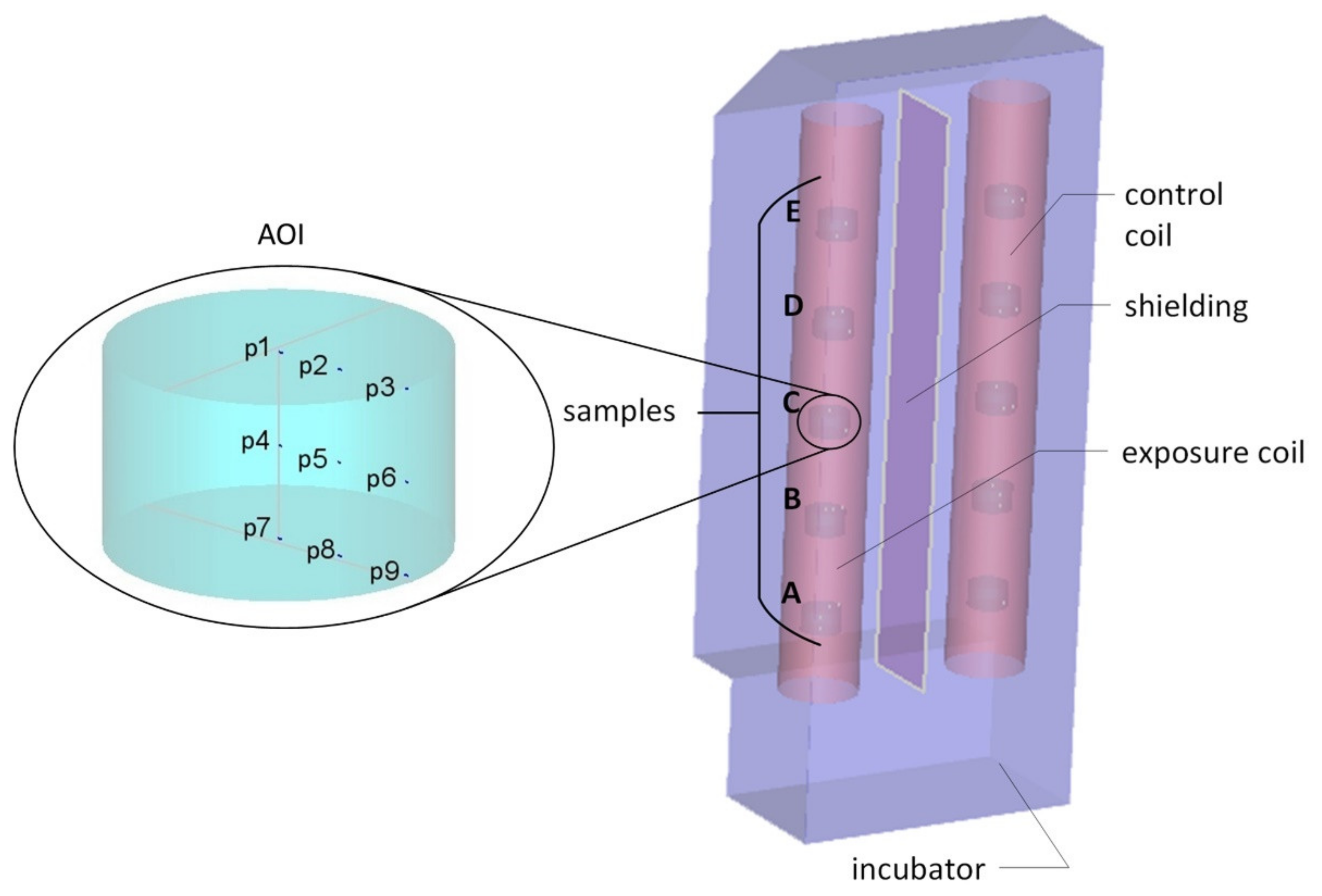 Low-Frequency Magnetic Field Exposure System for Cells