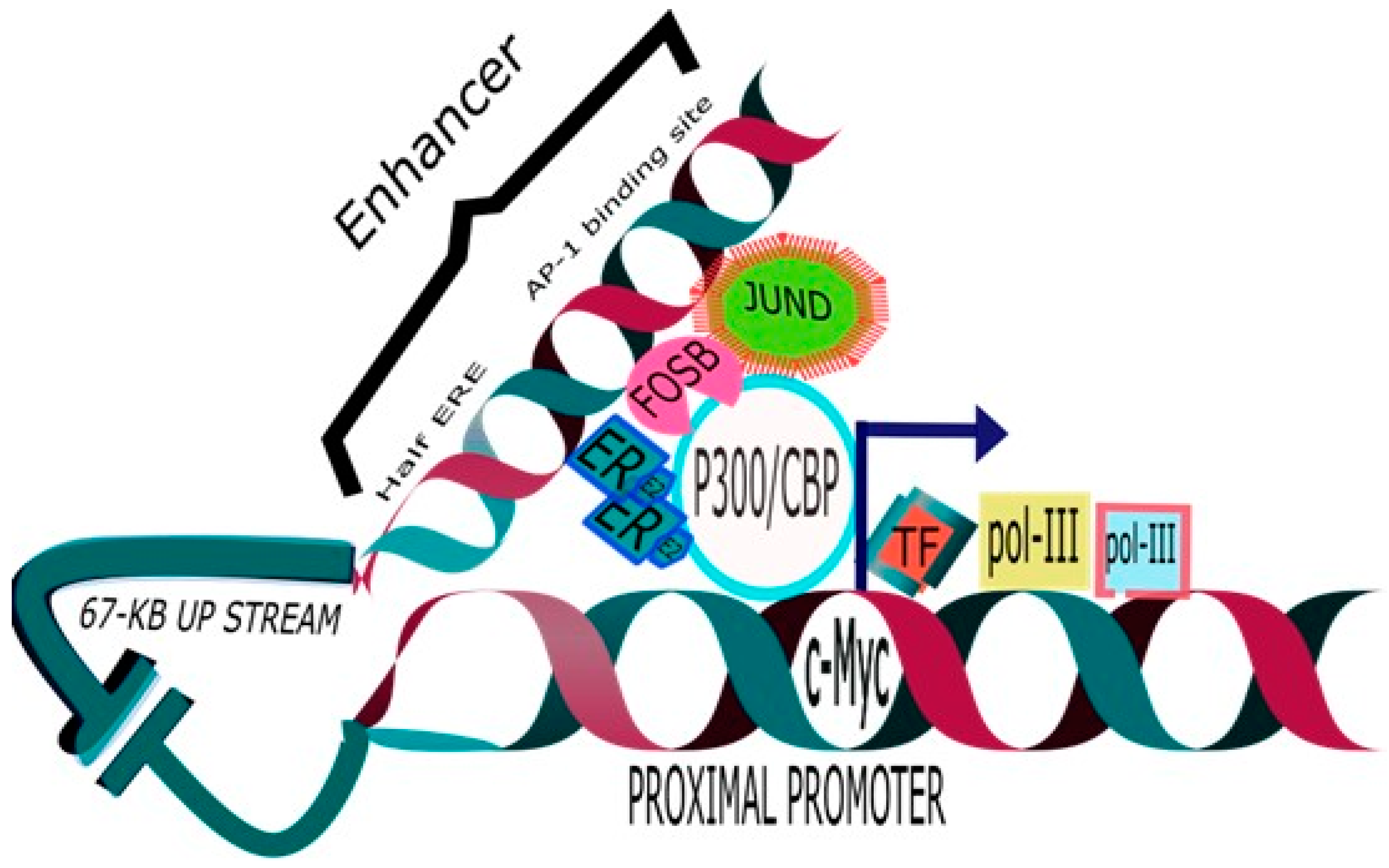 Applsci 12 06853 g001