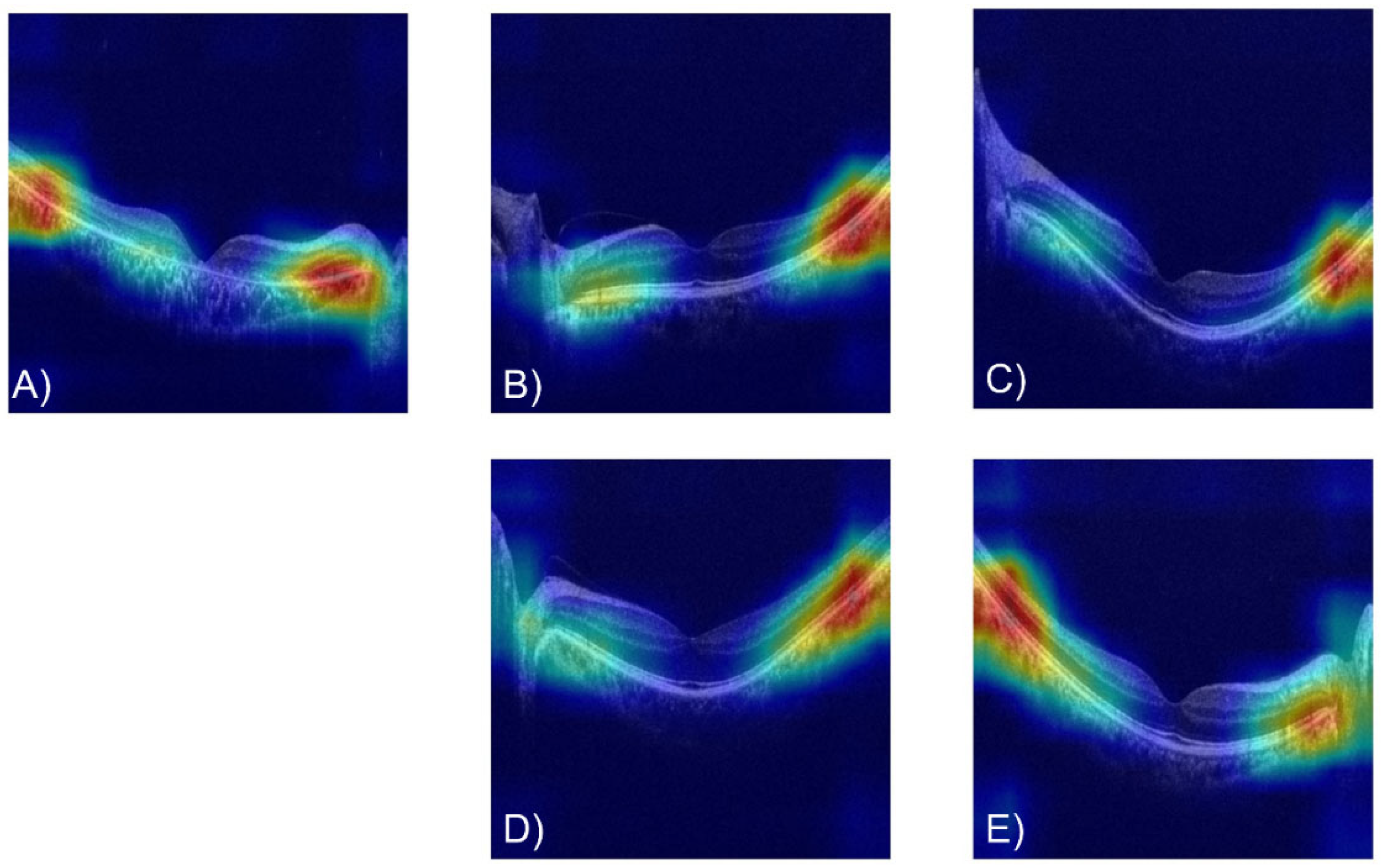 Applsci 12 06872 g005 550