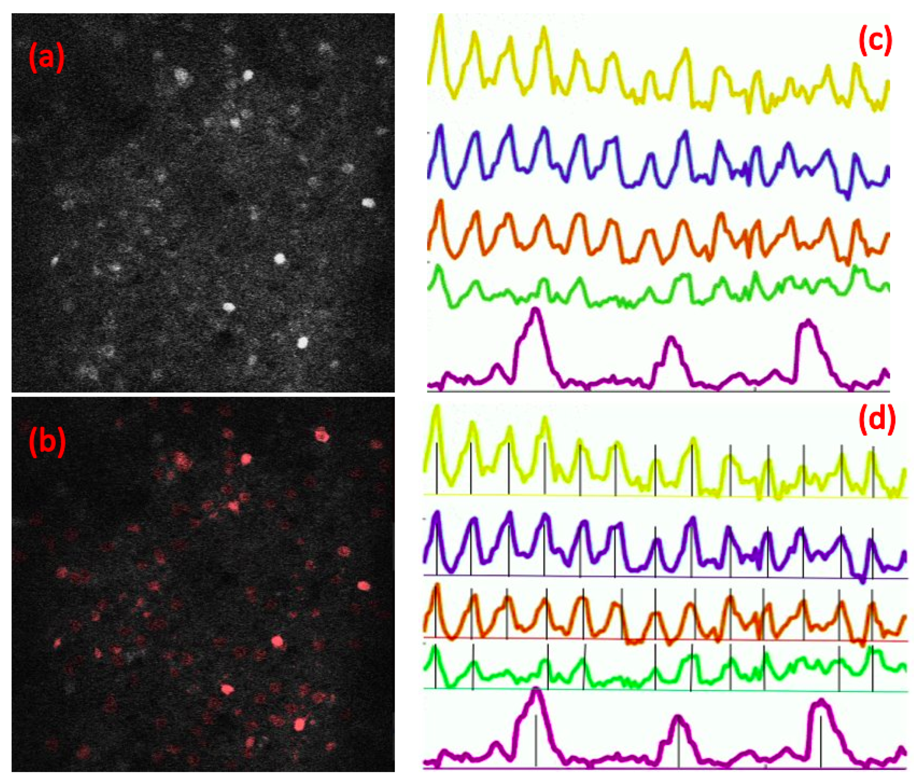 Applsci 12 06876 g001