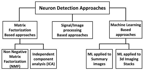Computational Methods for Neuron Segmentation in Two-Photon Calcium ...