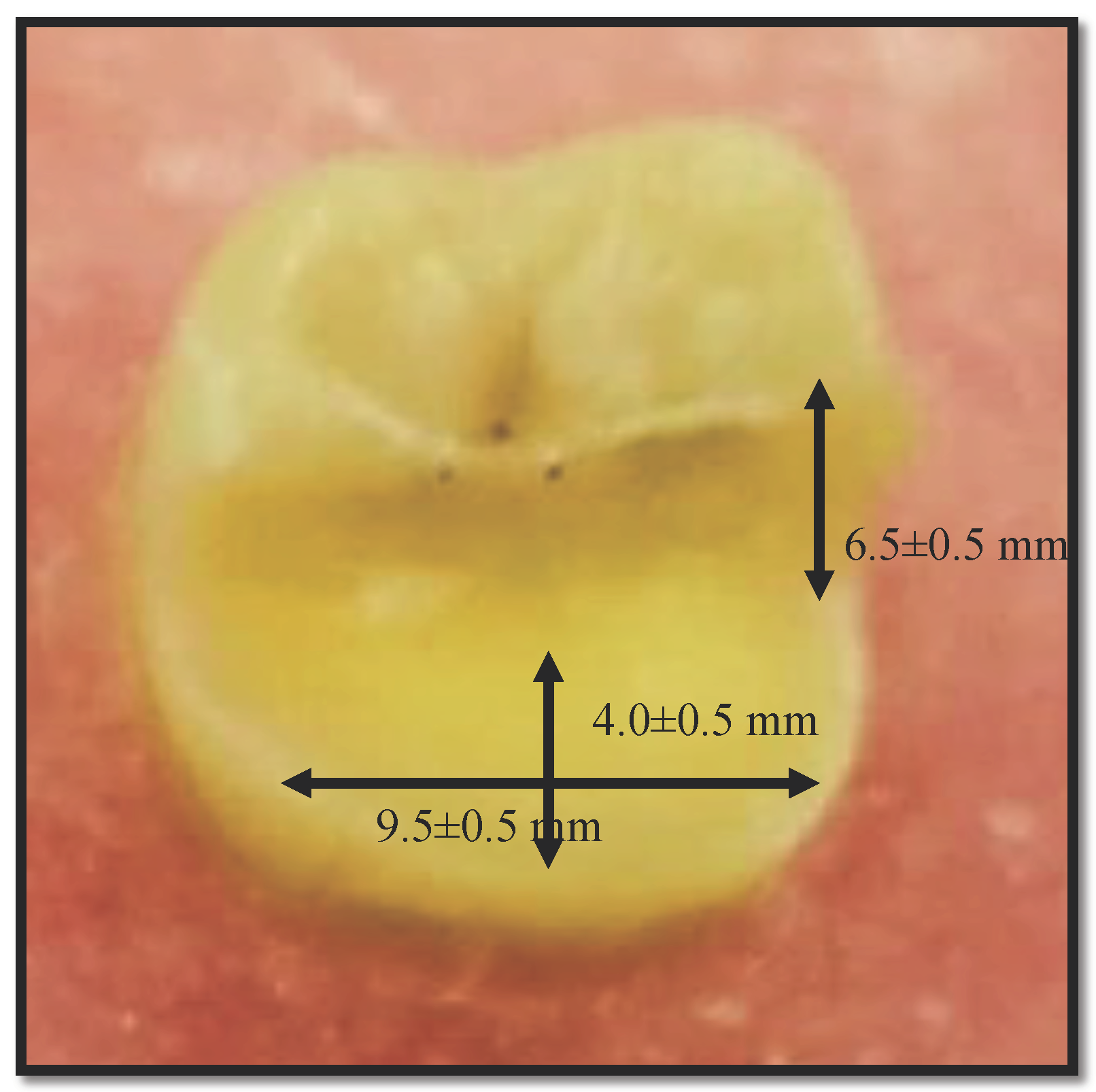 Applsci 12 06877 g001