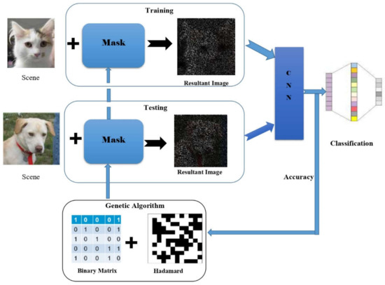 Compressive Domain Deep CNN for Image Classification and Performance ...