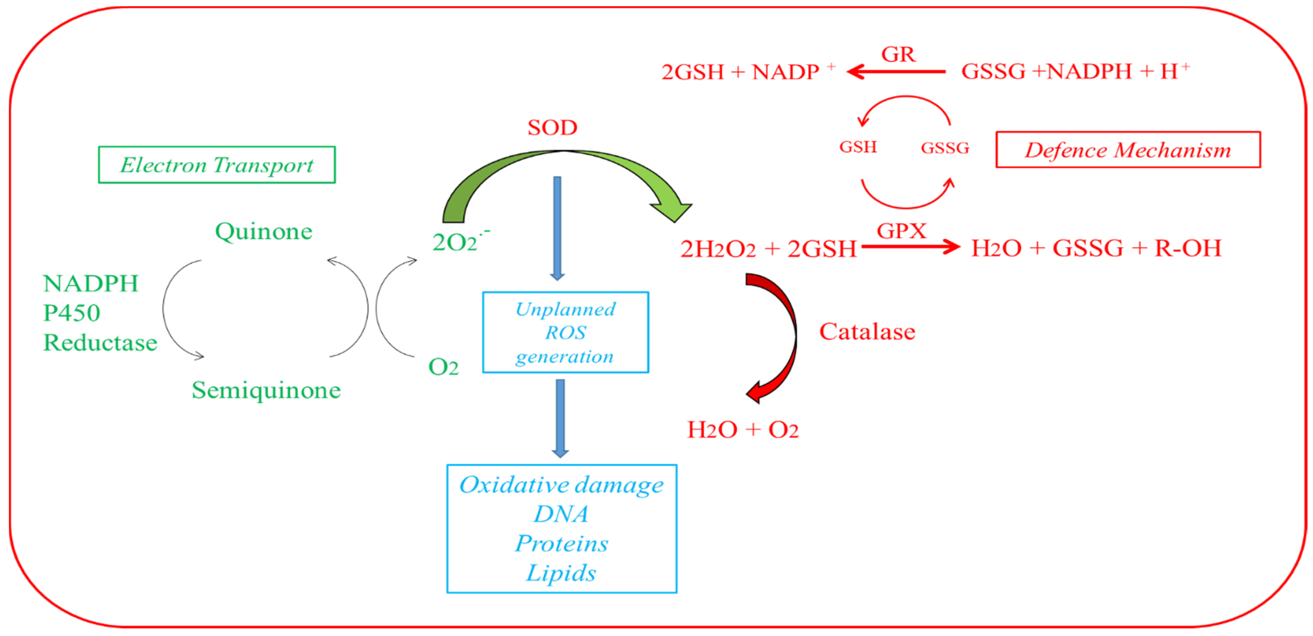 Applsci 12 06887 g001