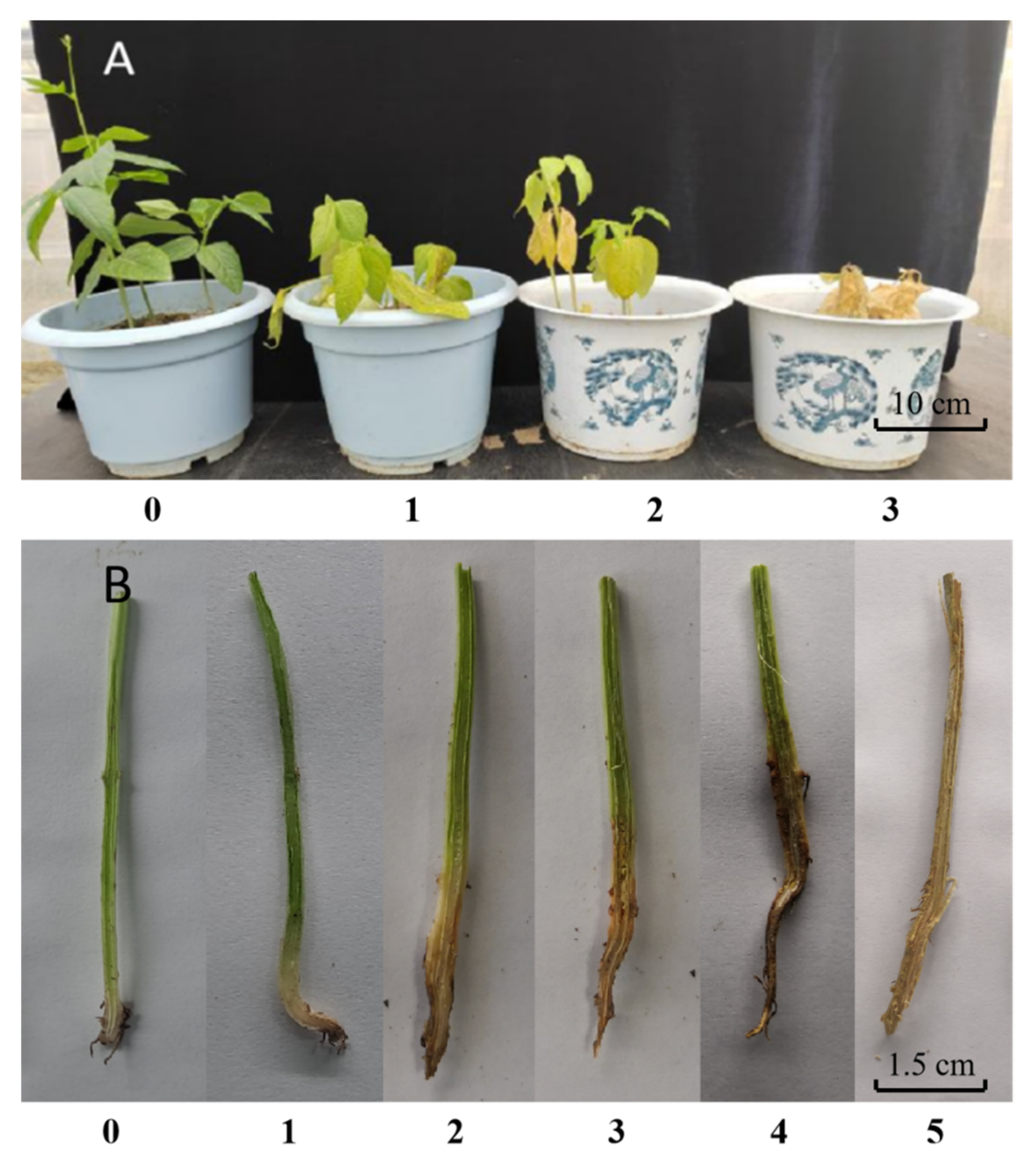 Applsci 12 06889 g001 550