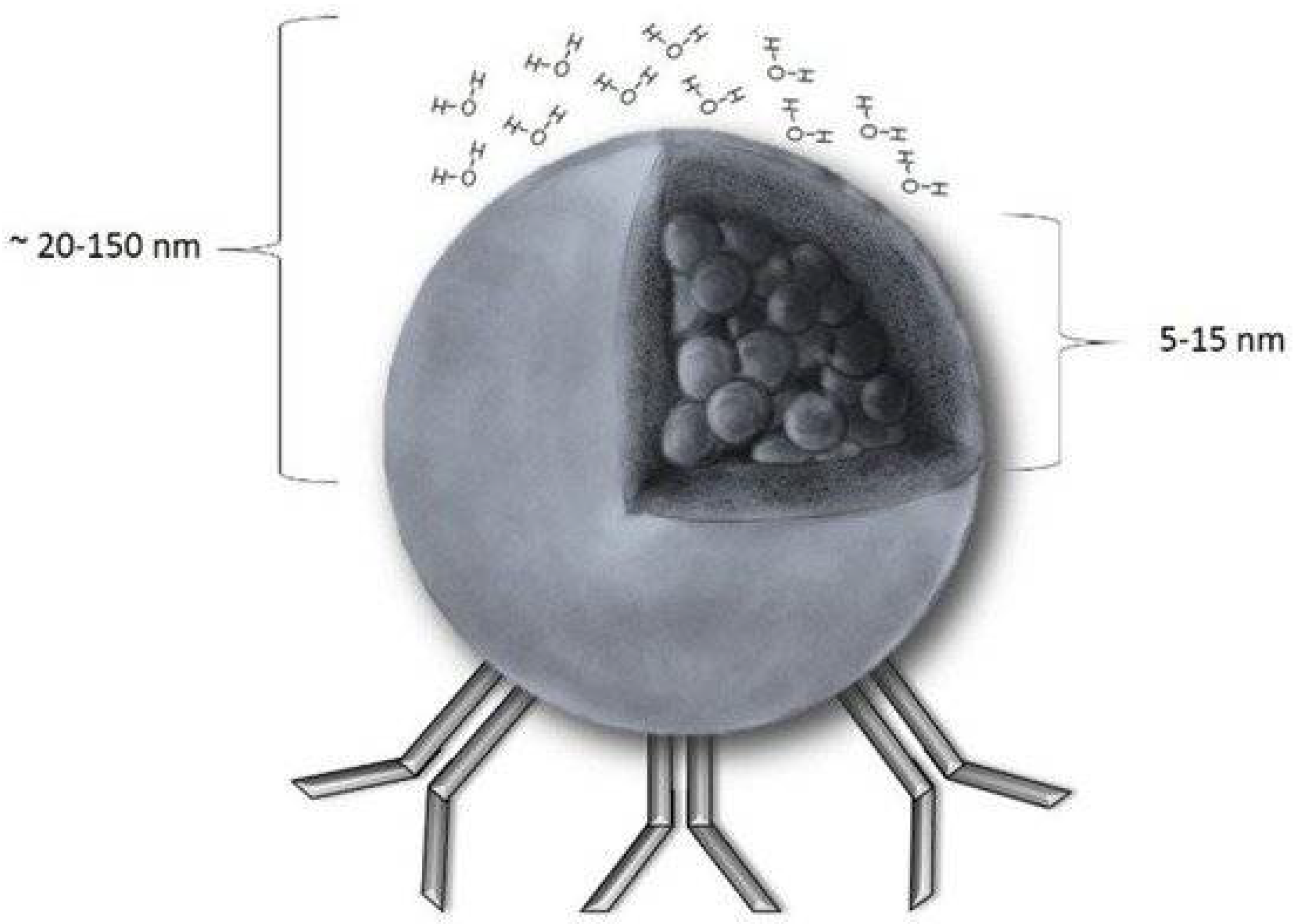 Applsci 12 06913 g001 Applsci 12 06913 g001