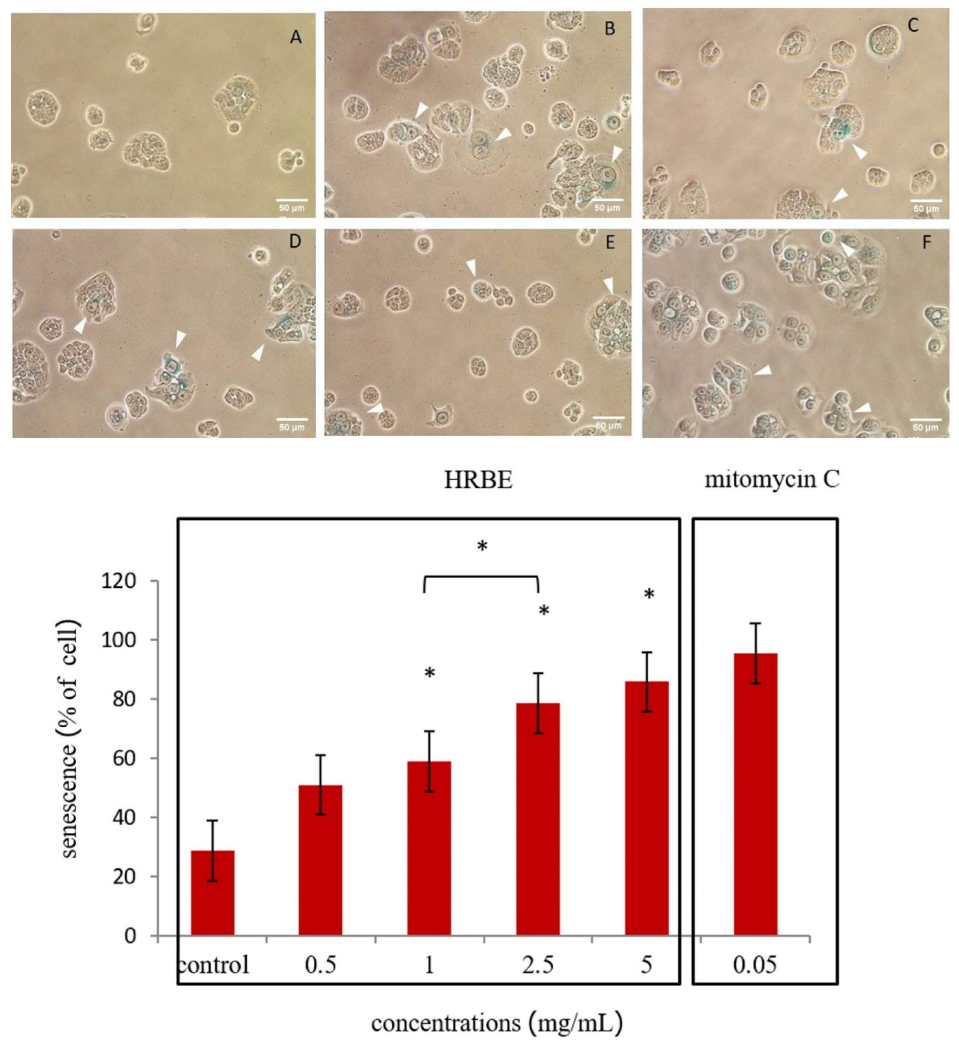 Applsci 12 06917 g003 550