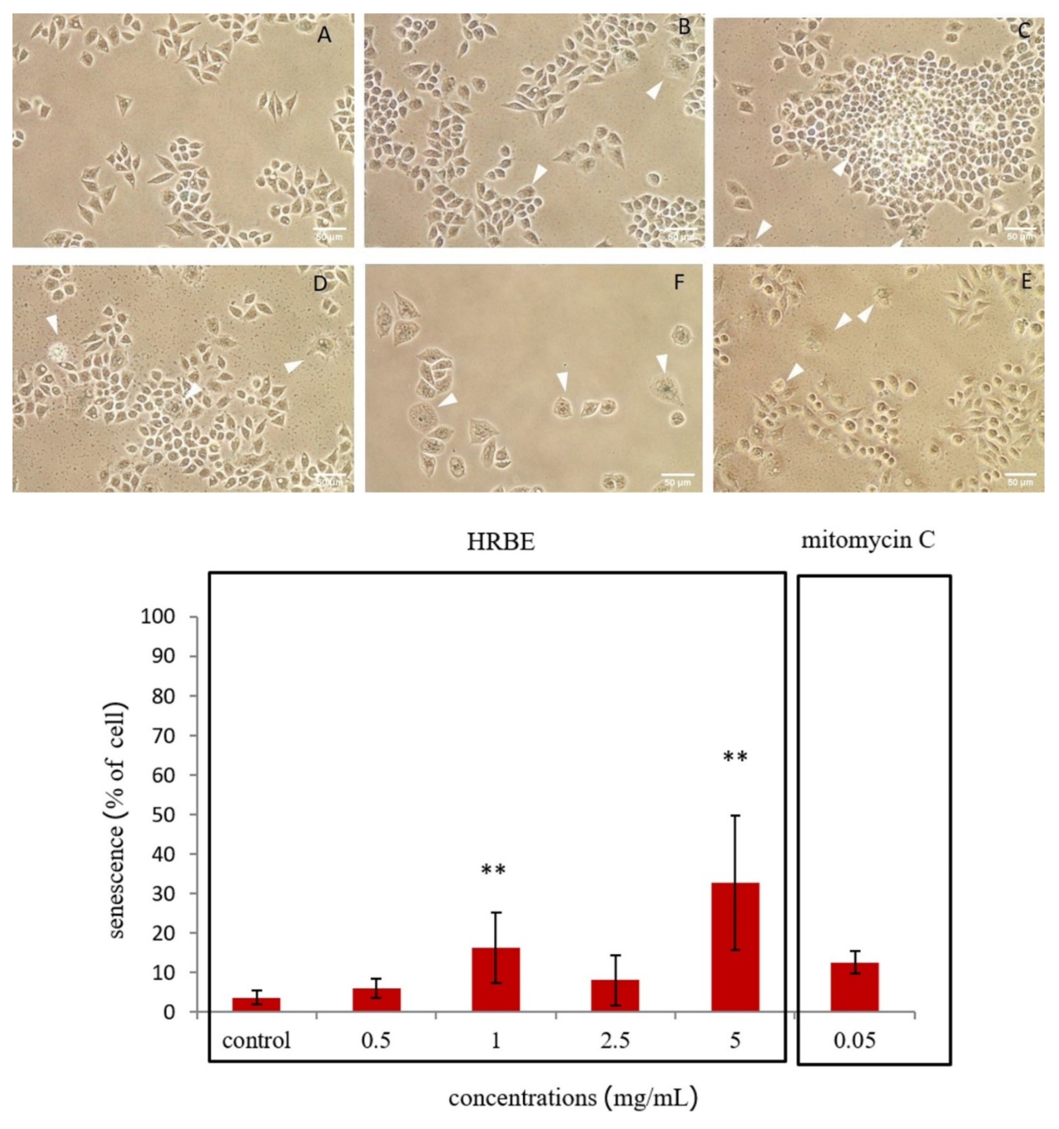 Applsci 12 06917 g004 550