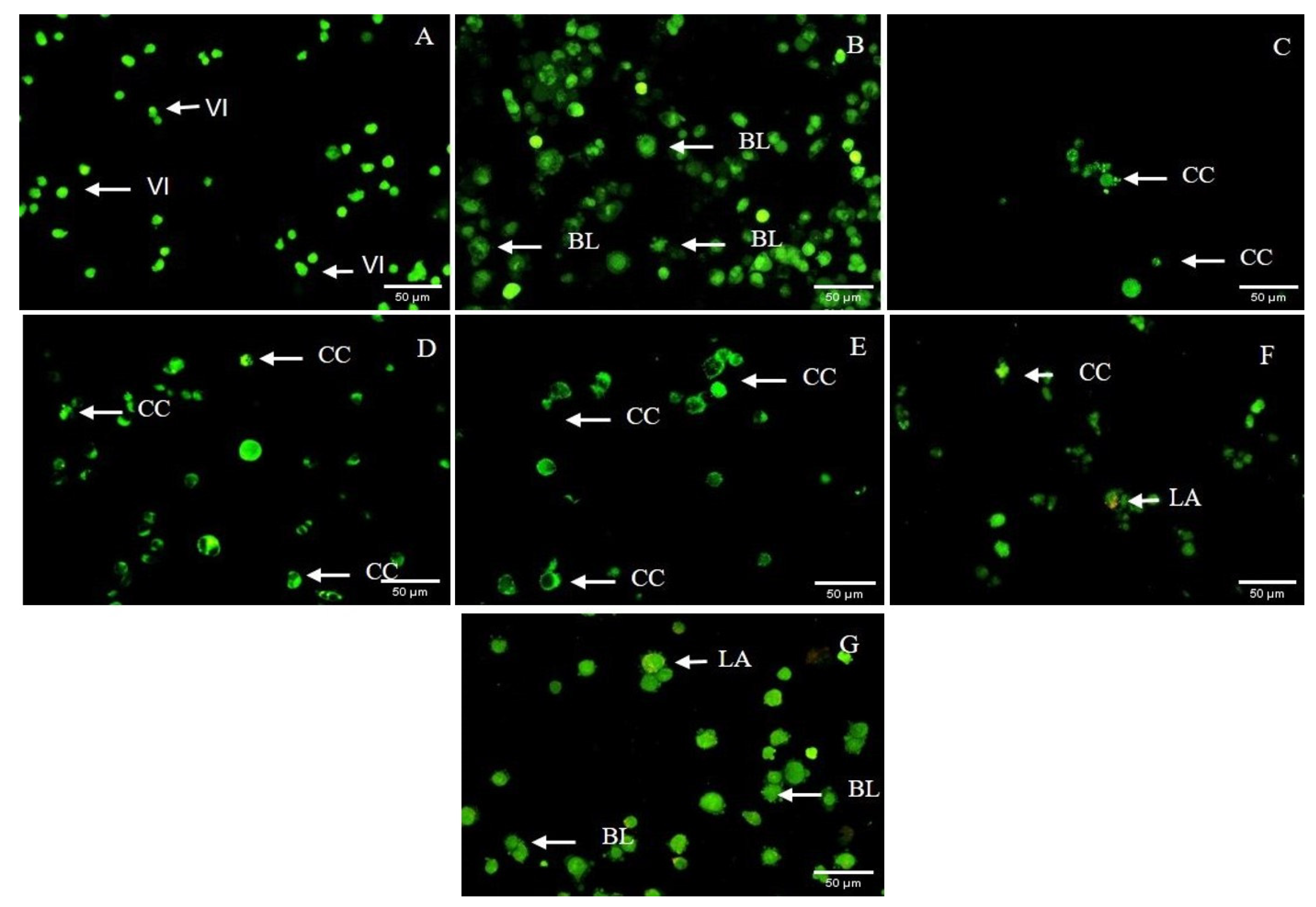 Applsci 12 06917 g005 550