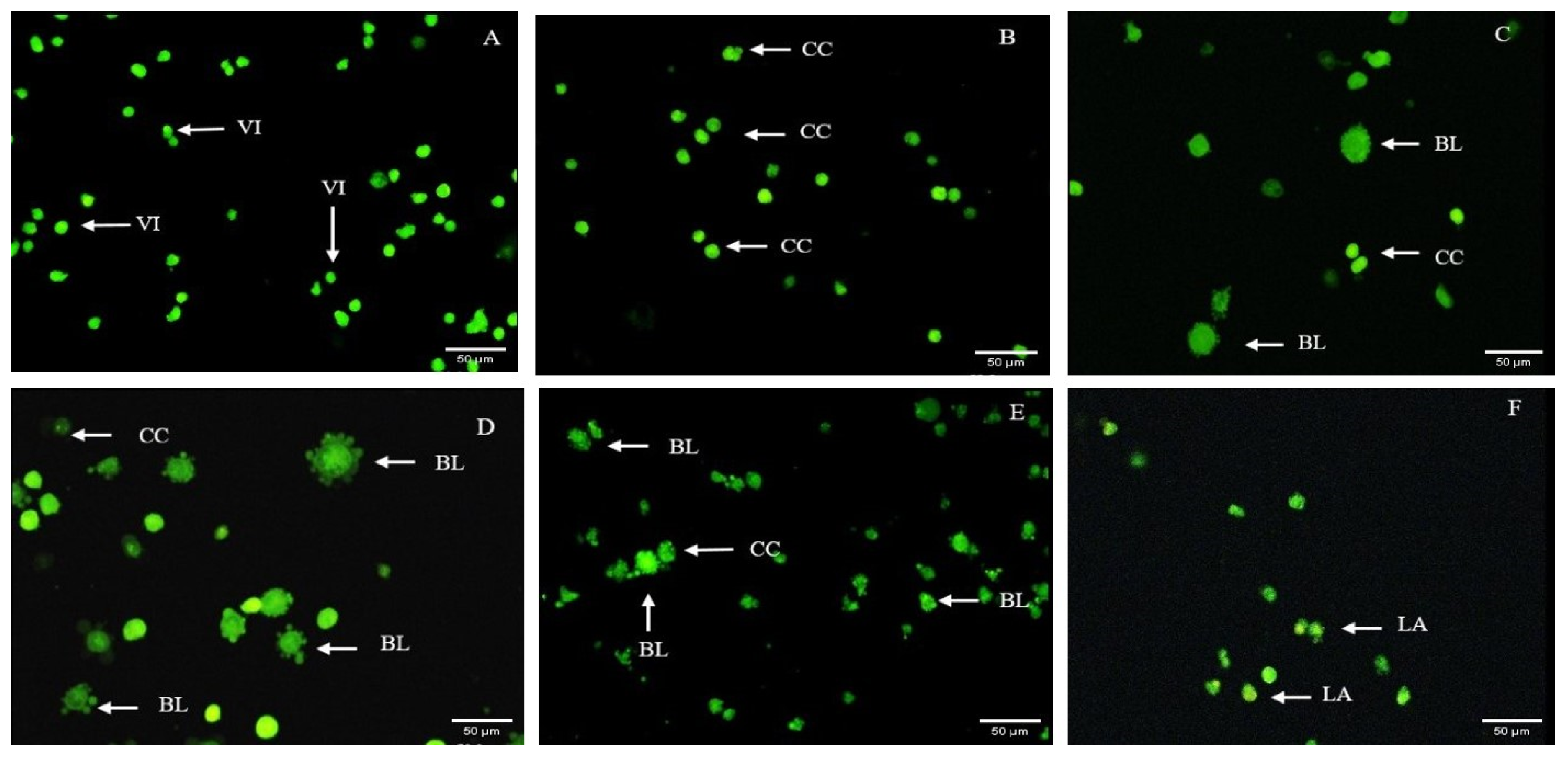 Applsci 12 06917 g009 550