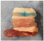 Applsci 12 06920 i002