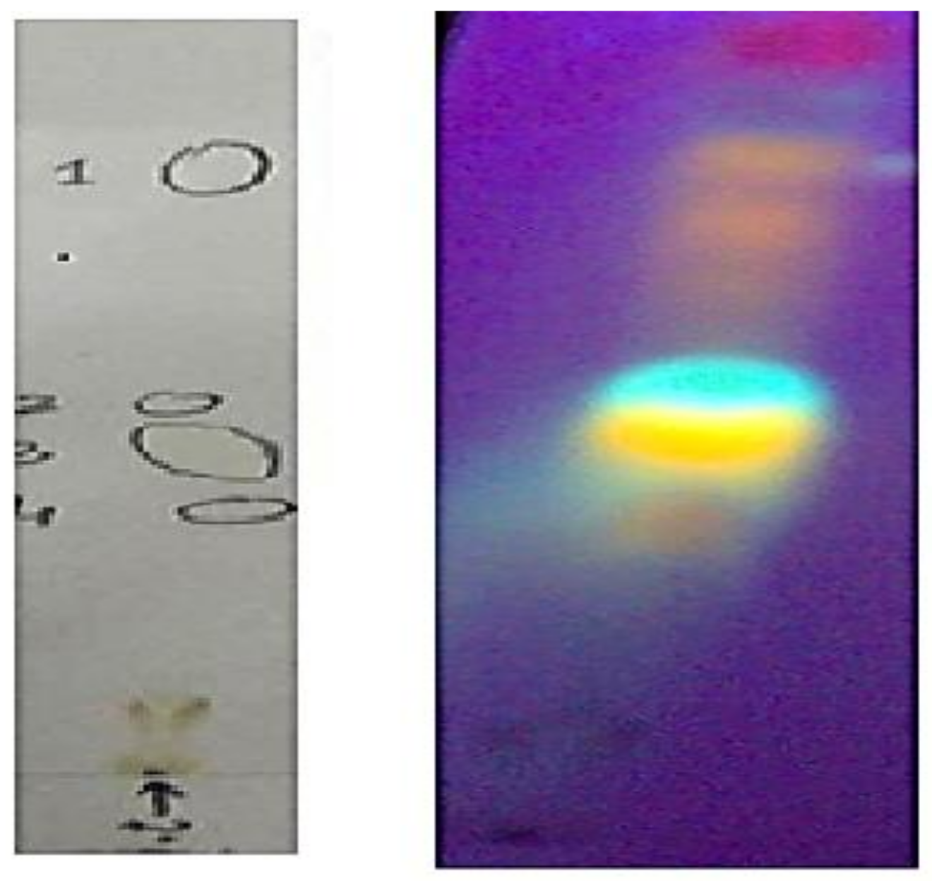 Applsci 12 06921 g001