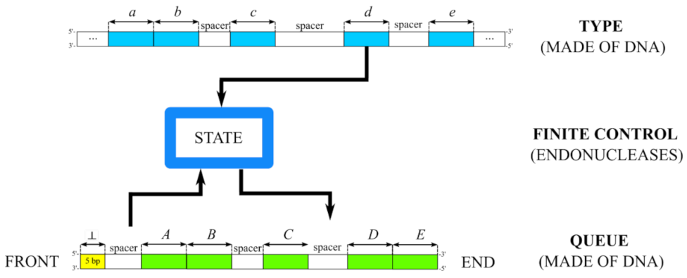Applsci 12 06928 g004