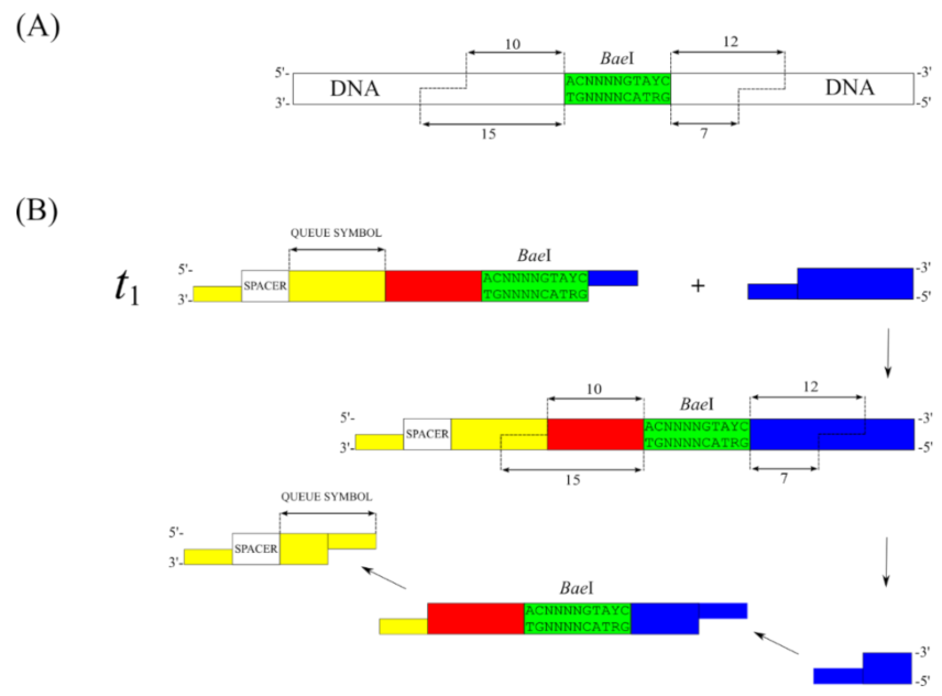 Applsci 12 06928 g006