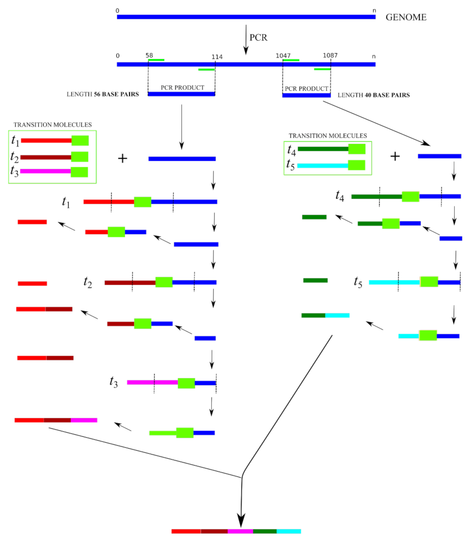 Applsci 12 06928 g007