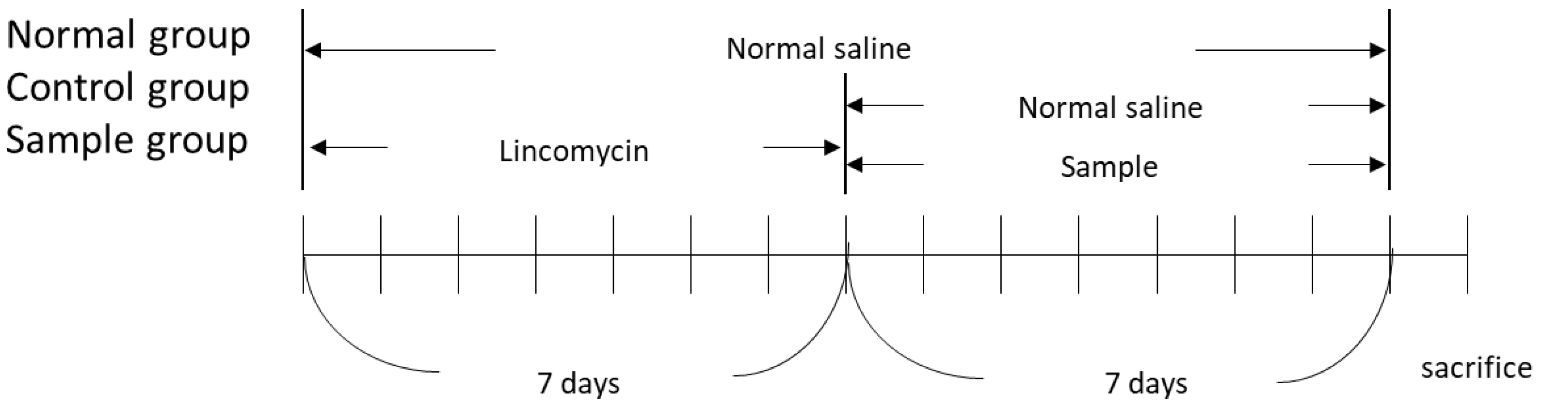 Applsci 12 06943 g001 Applsci 12 06943 g001