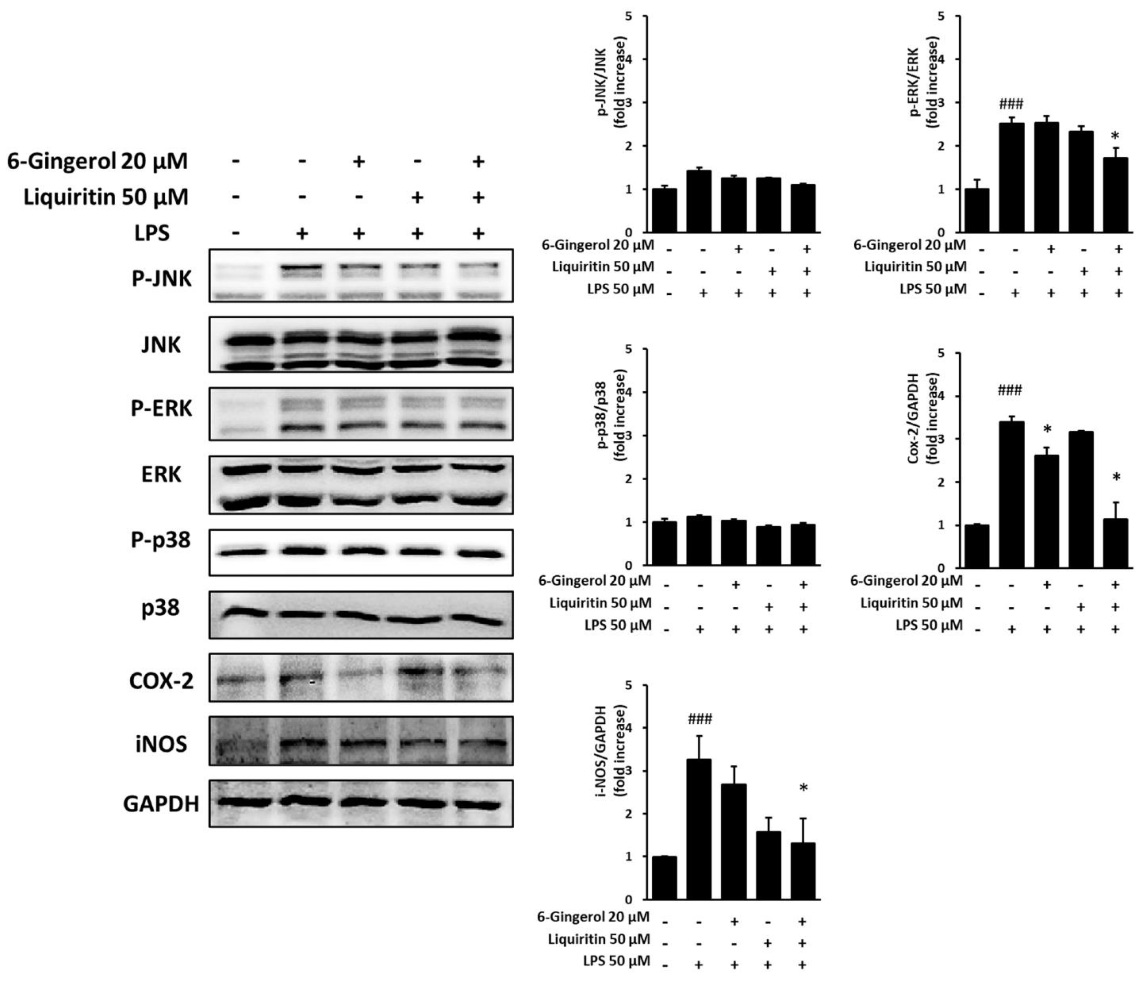 Applsci 12 06943 g005 Applsci 12 06943 g005