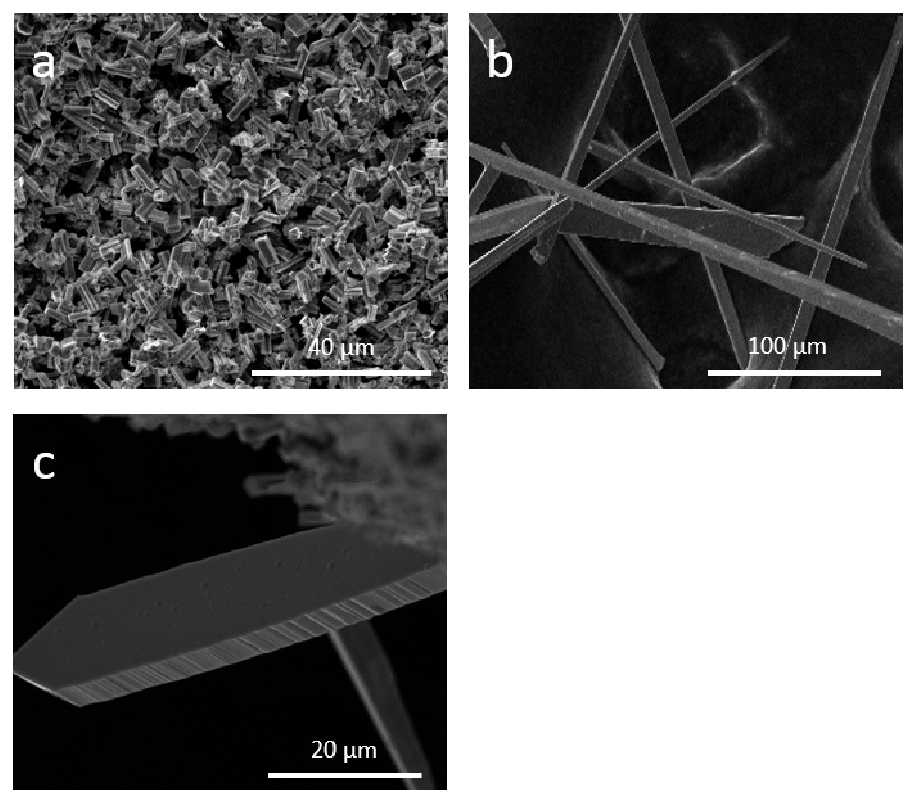 Applsci 12 06948 g003 Applsci 12 06948 g003