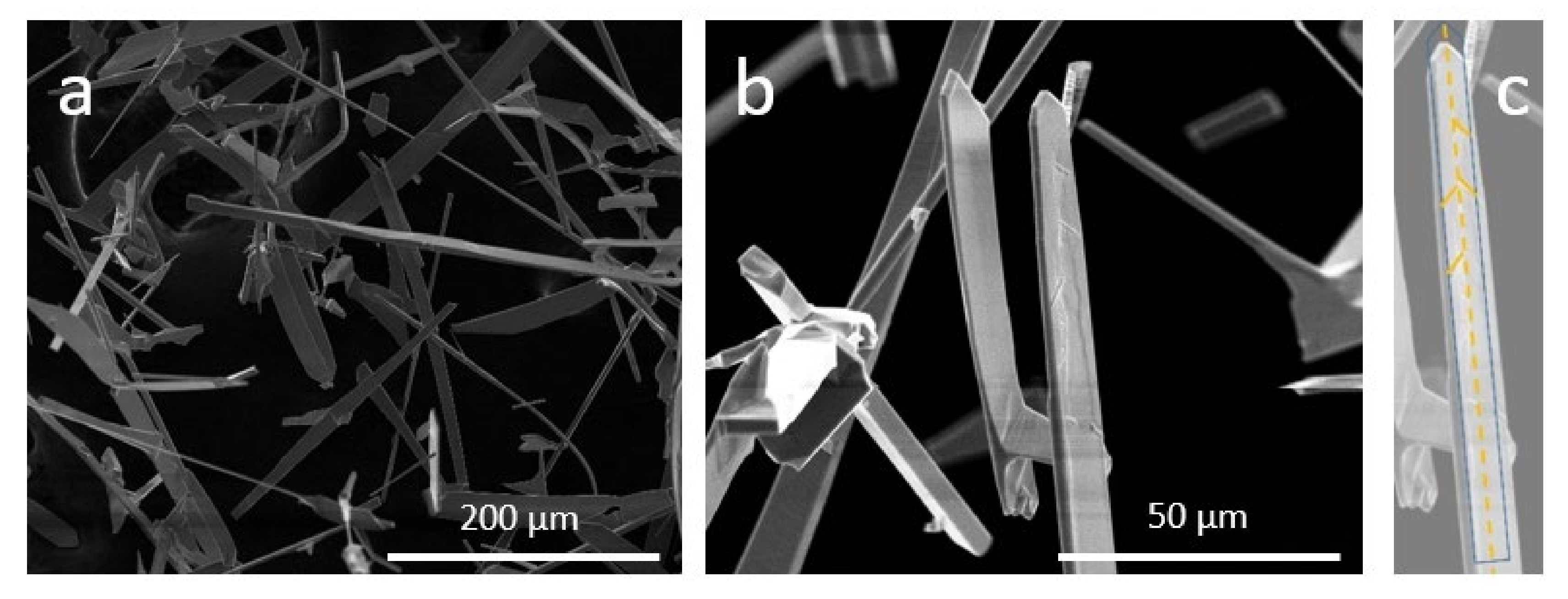 Applsci 12 06948 g005 Applsci 12 06948 g005