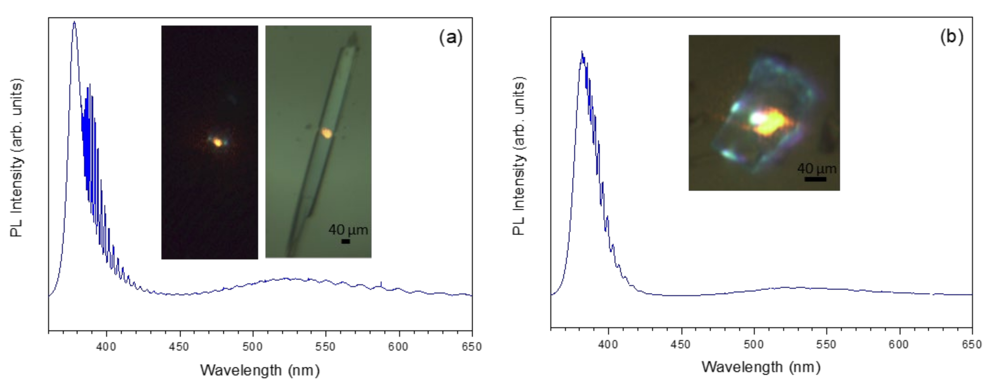 Applsci 12 06948 g013 Applsci 12 06948 g013