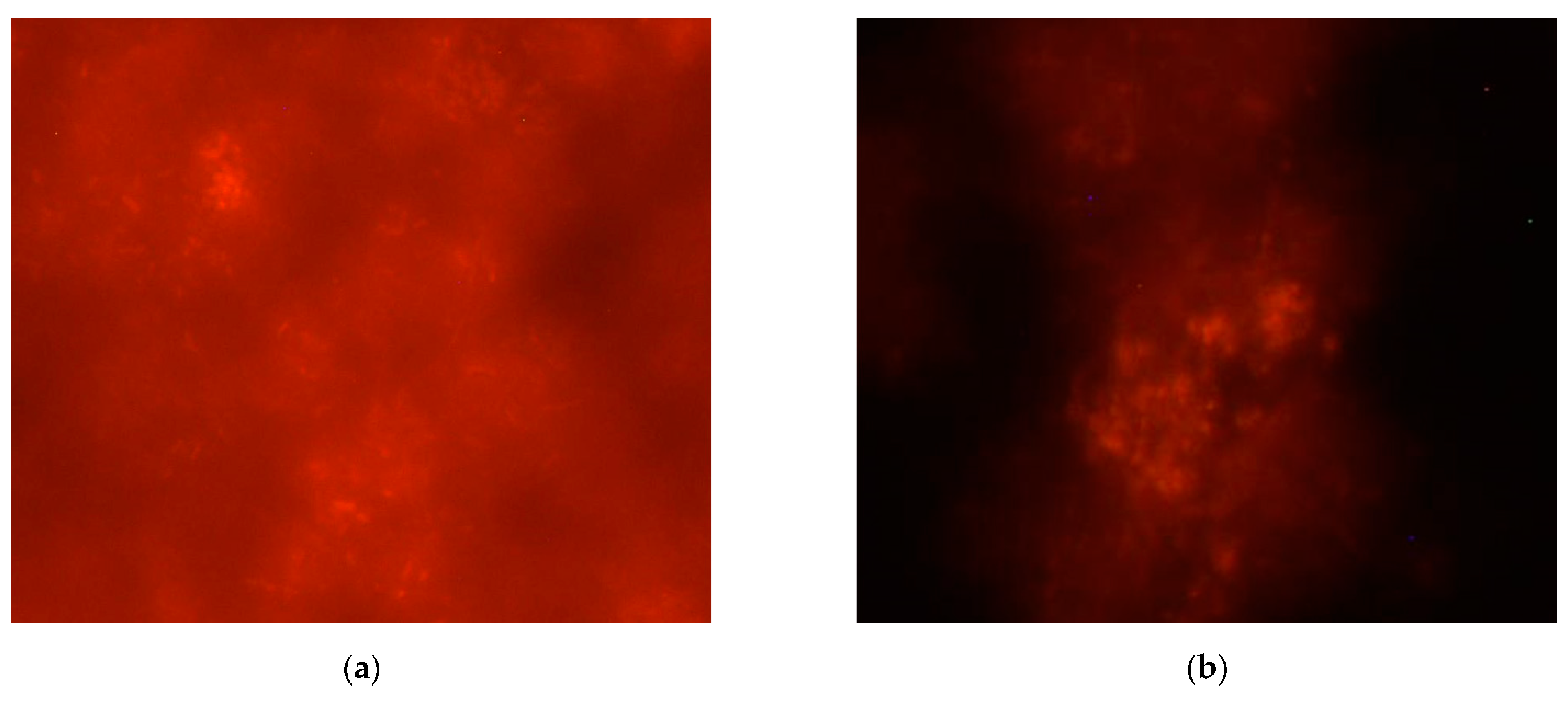 Applsci 12 06952 g006