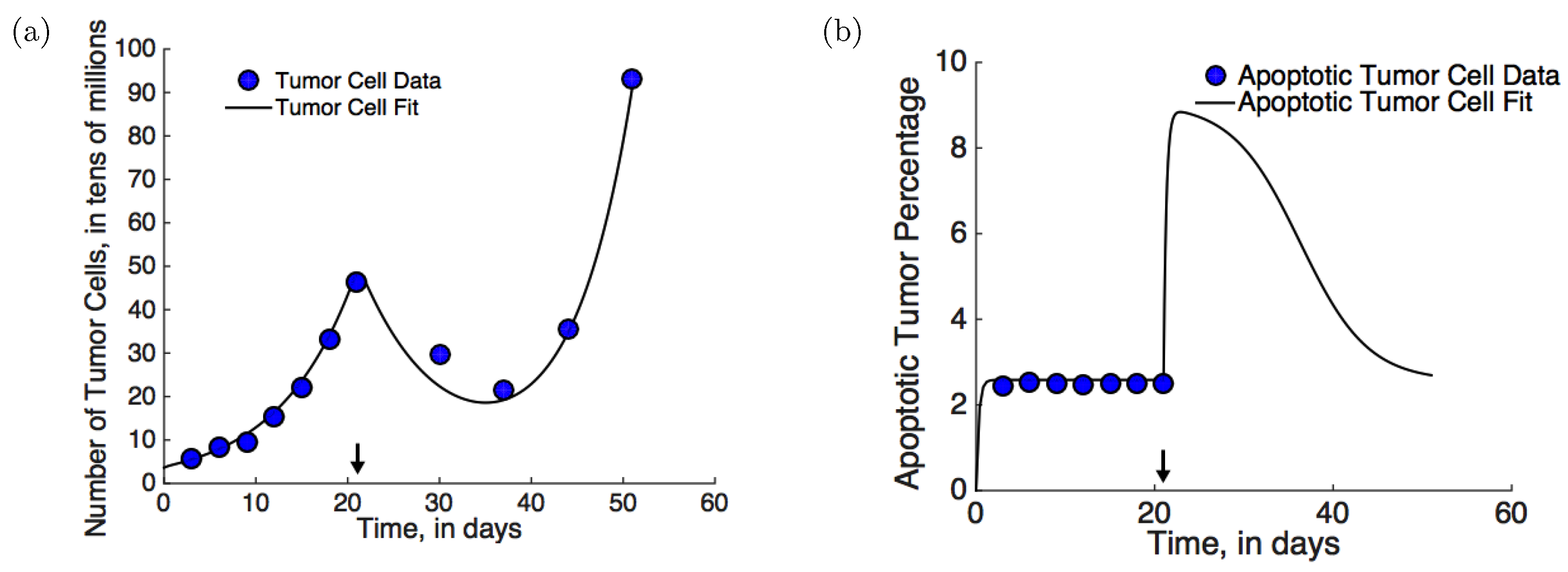 Applsci 12 06954 g002 550