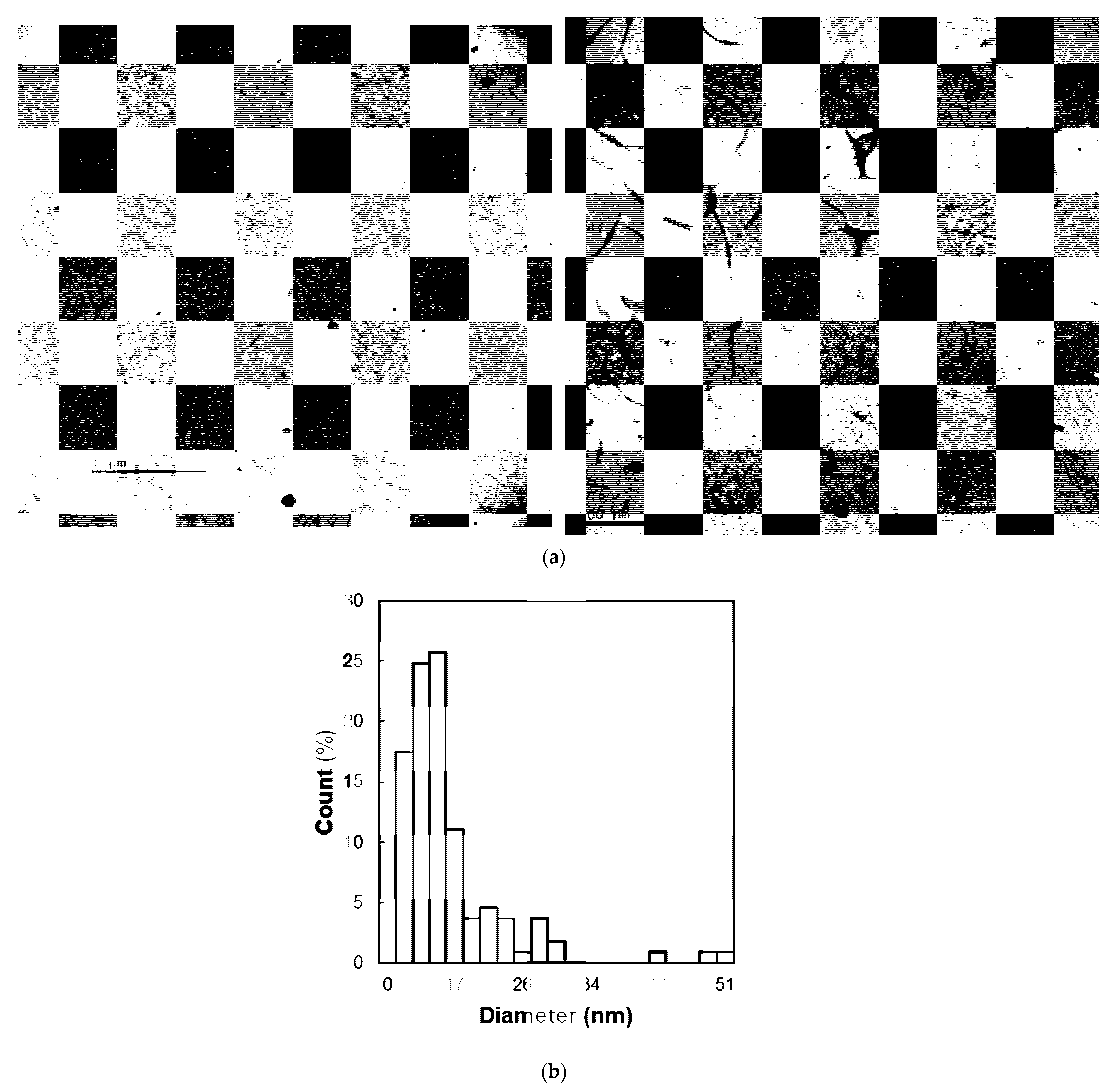 Applsci 12 06956 g004 550