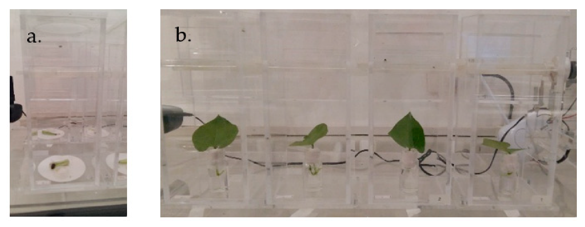 Applsci 12 06971 g006 Applsci 12 06971 g006