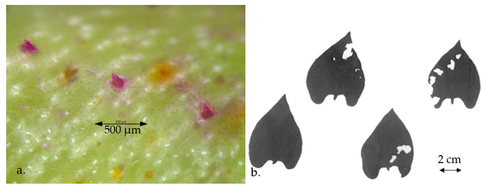 Applsci 12 06971 g012 Applsci 12 06971 g012