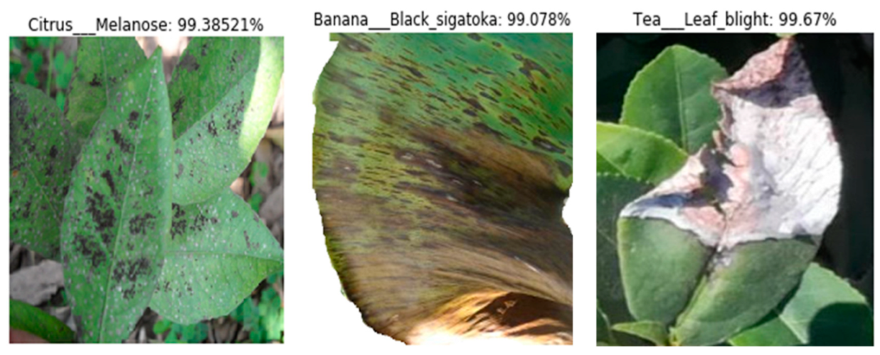 Applsci 12 06982 g004