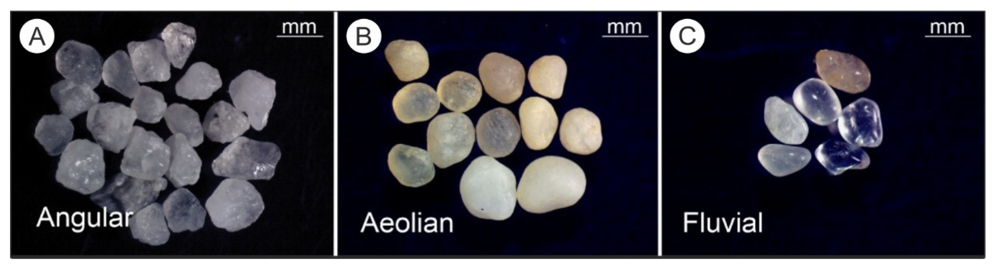 Applsci 12 06985 g002 550