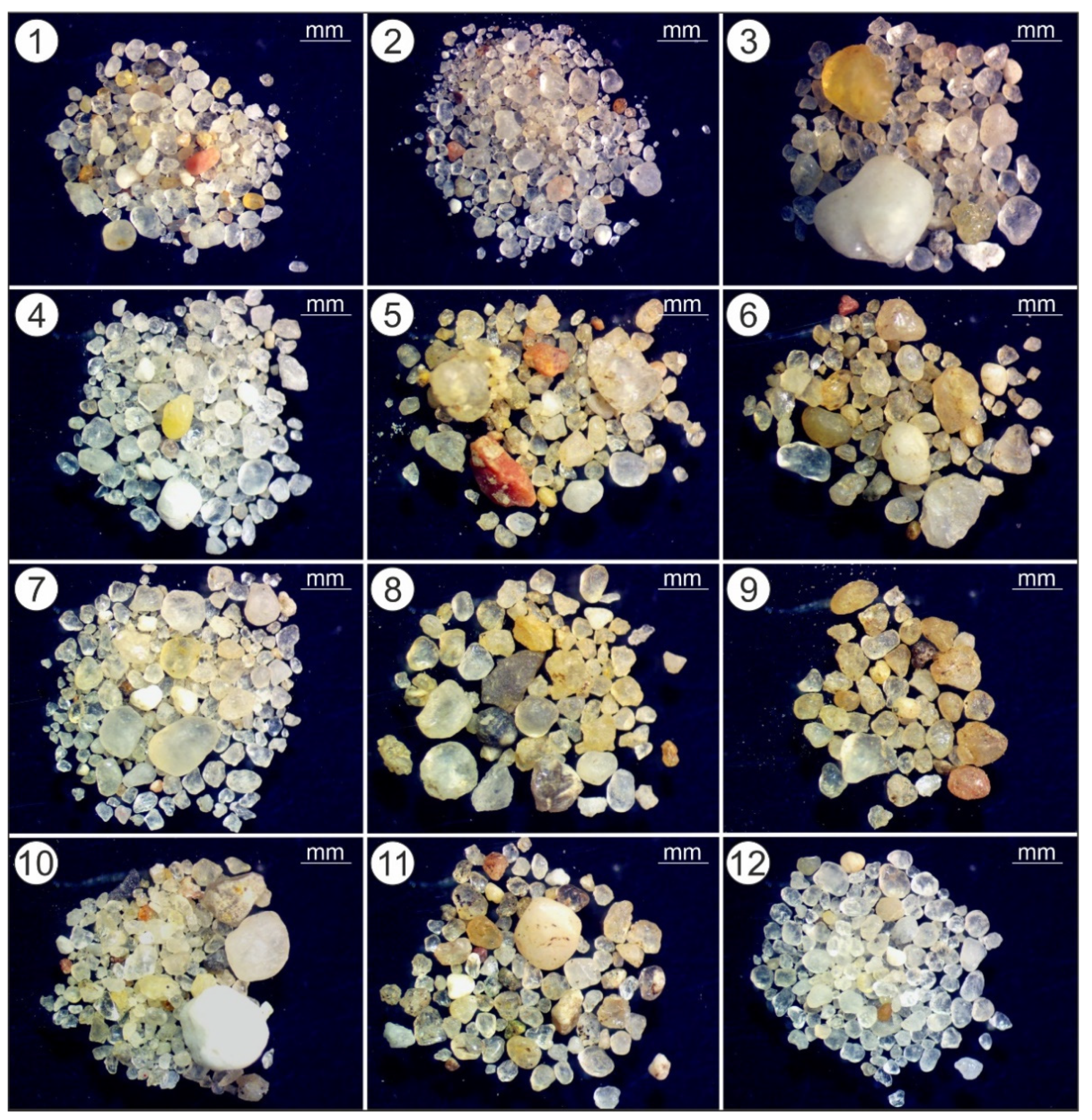 Applsci 12 06985 g005 550