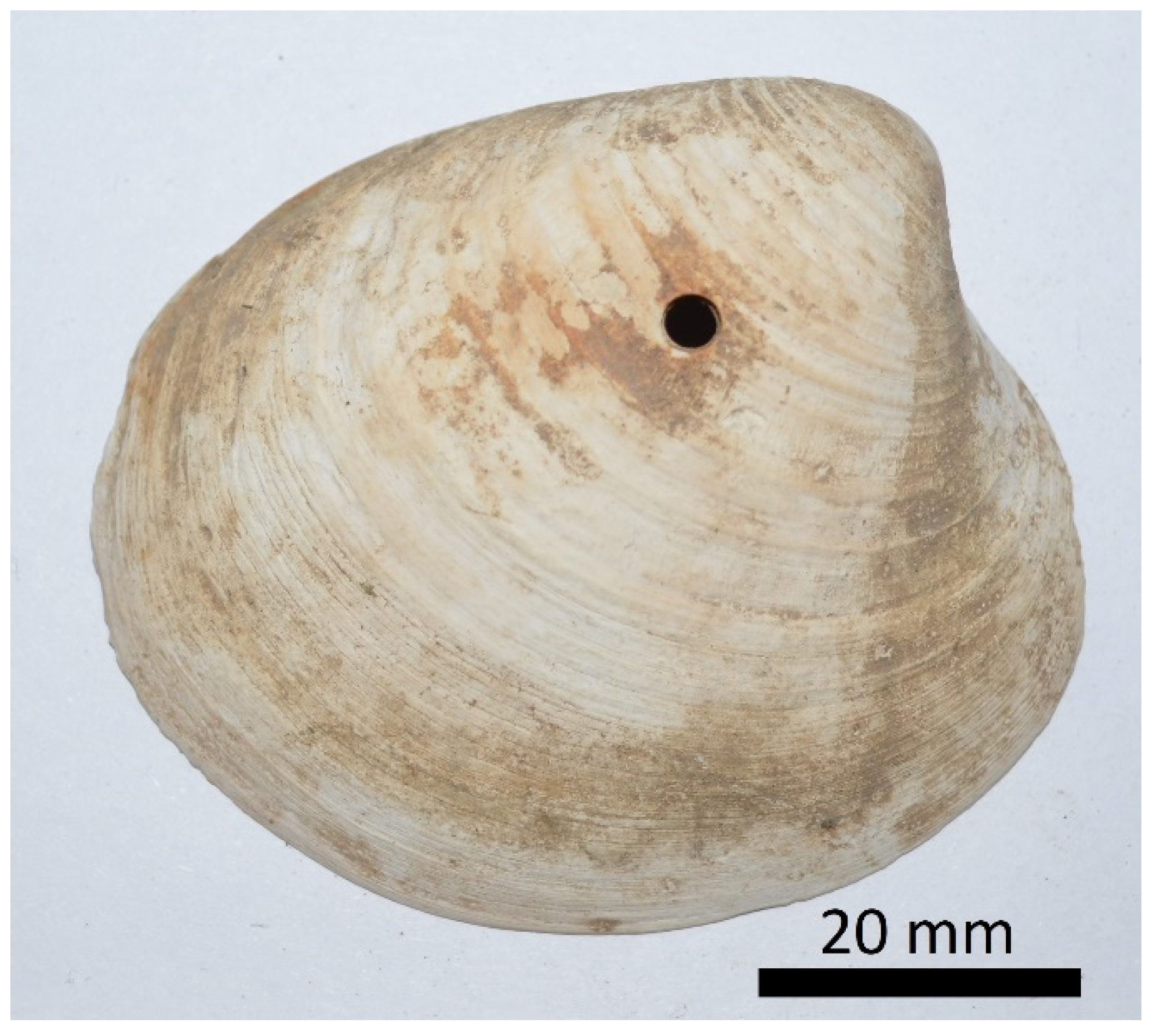 Applsci 12 06988 g002 550