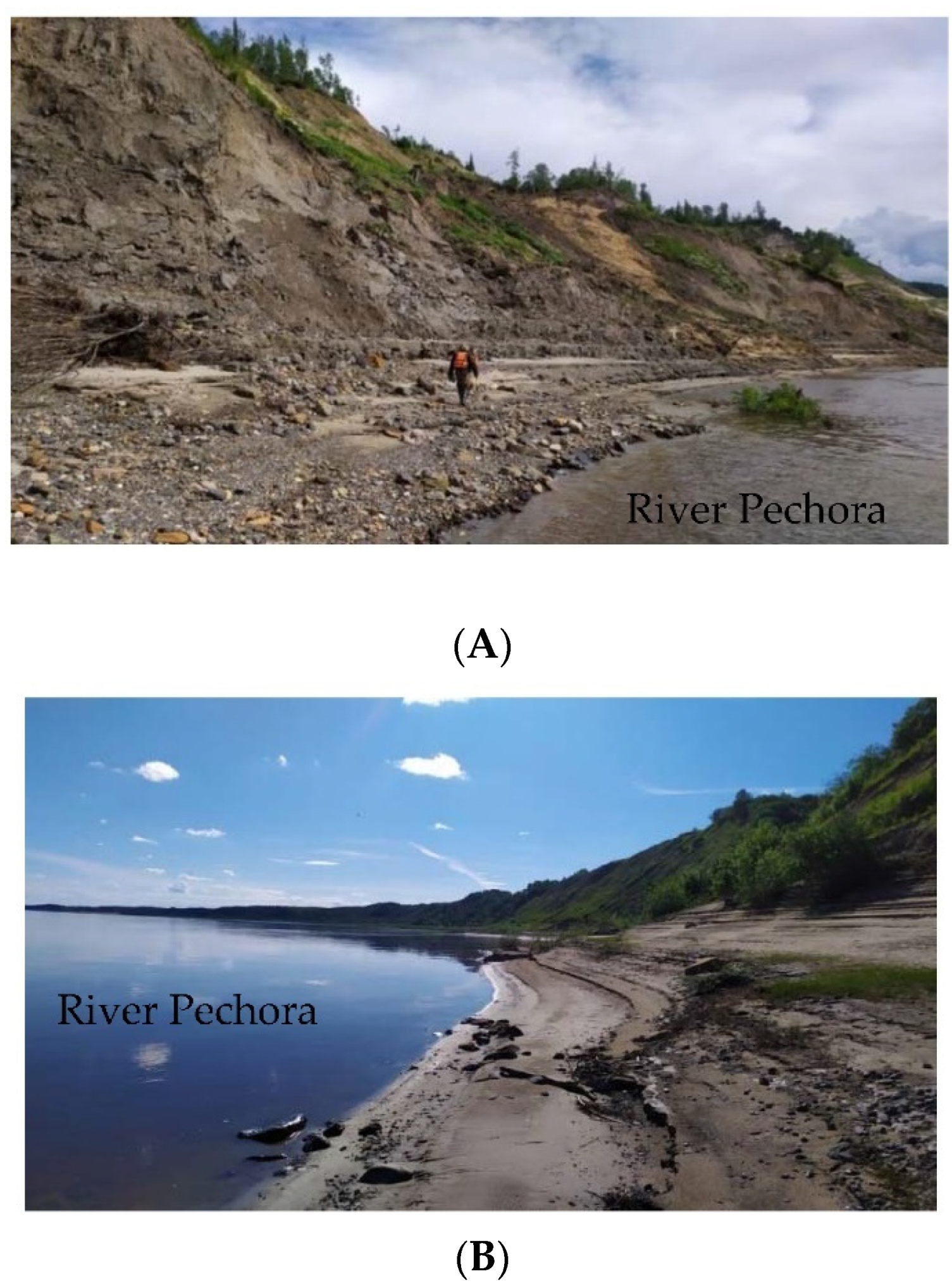 Applsci 12 06988 g007a 550