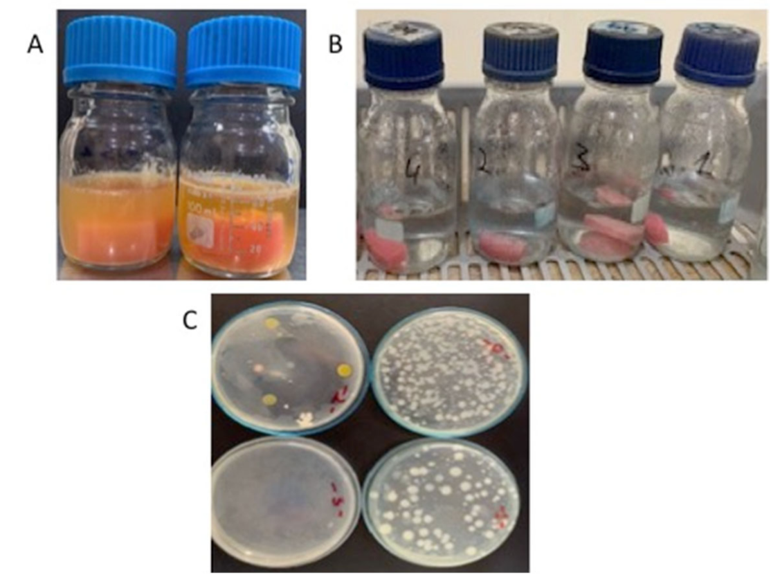 Applsci 12 07004 g002