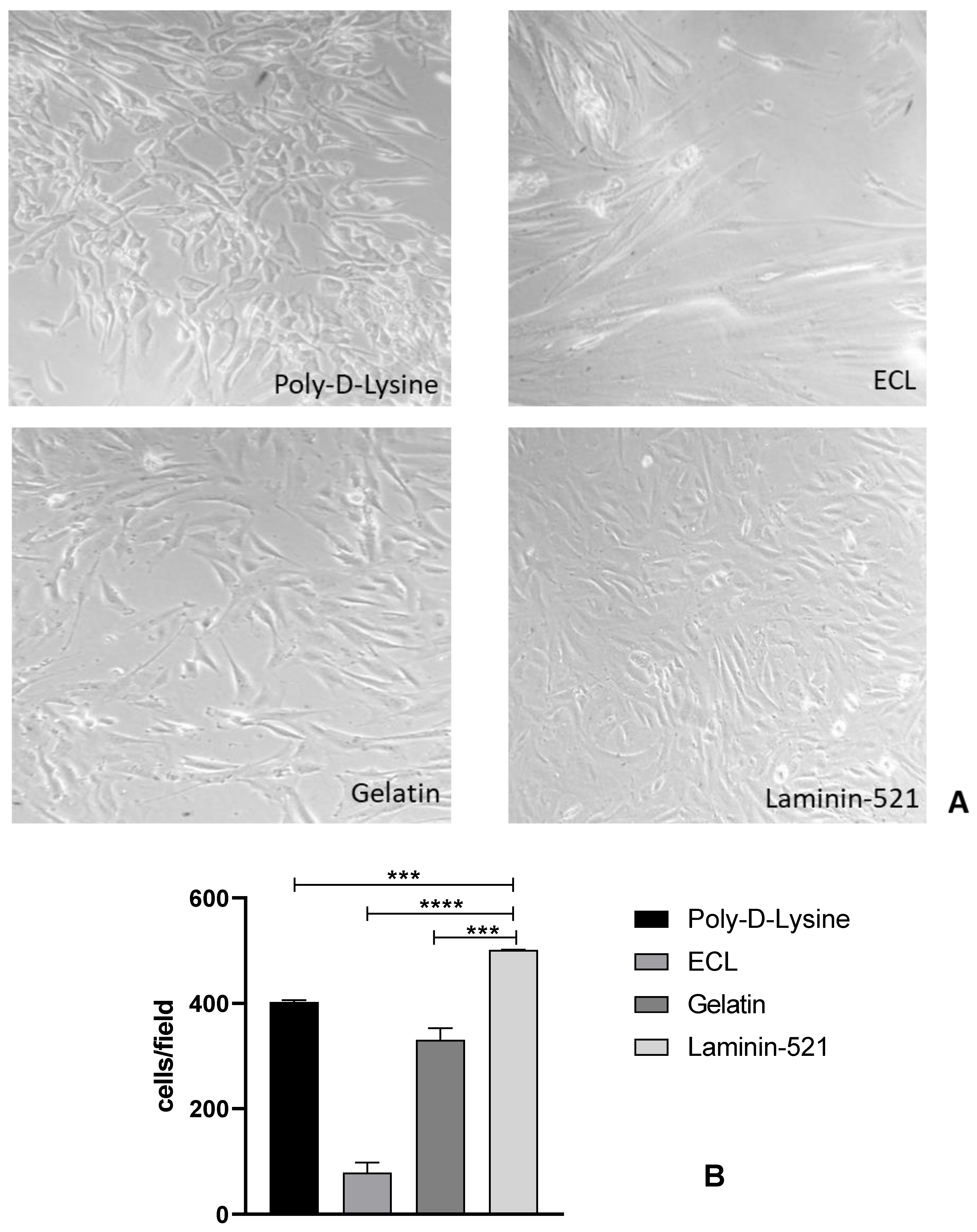 Applsci 12 07013 g001 Applsci 12 07013 g001