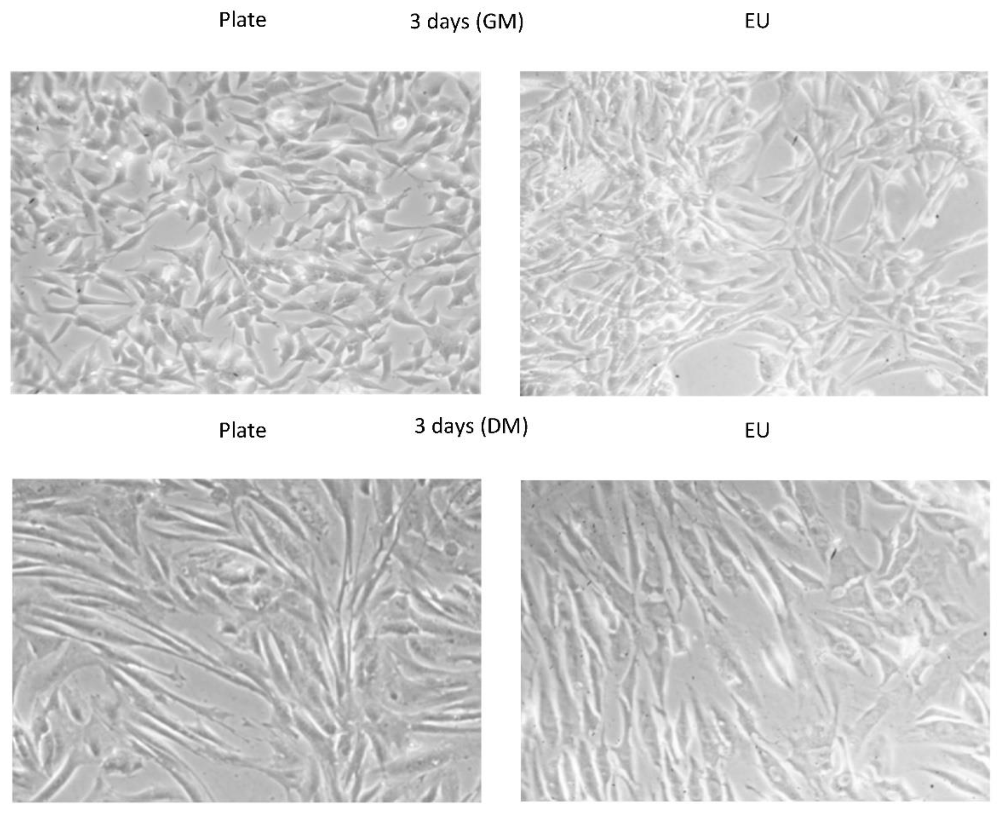 Applsci 12 07013 g003 Applsci 12 07013 g003