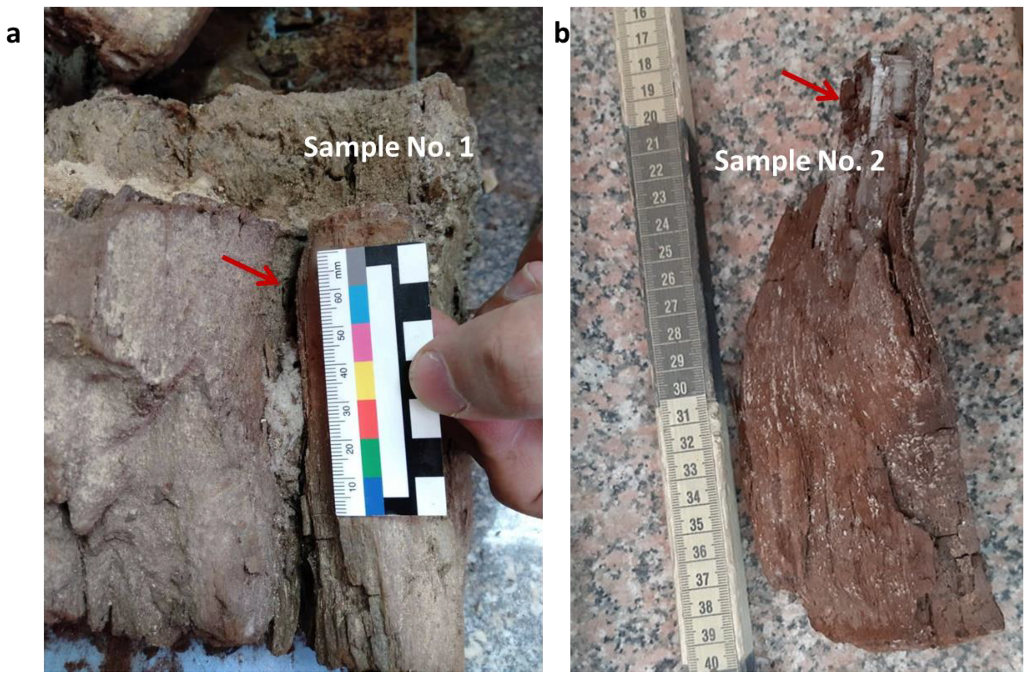 Applsci 12 07020 g002