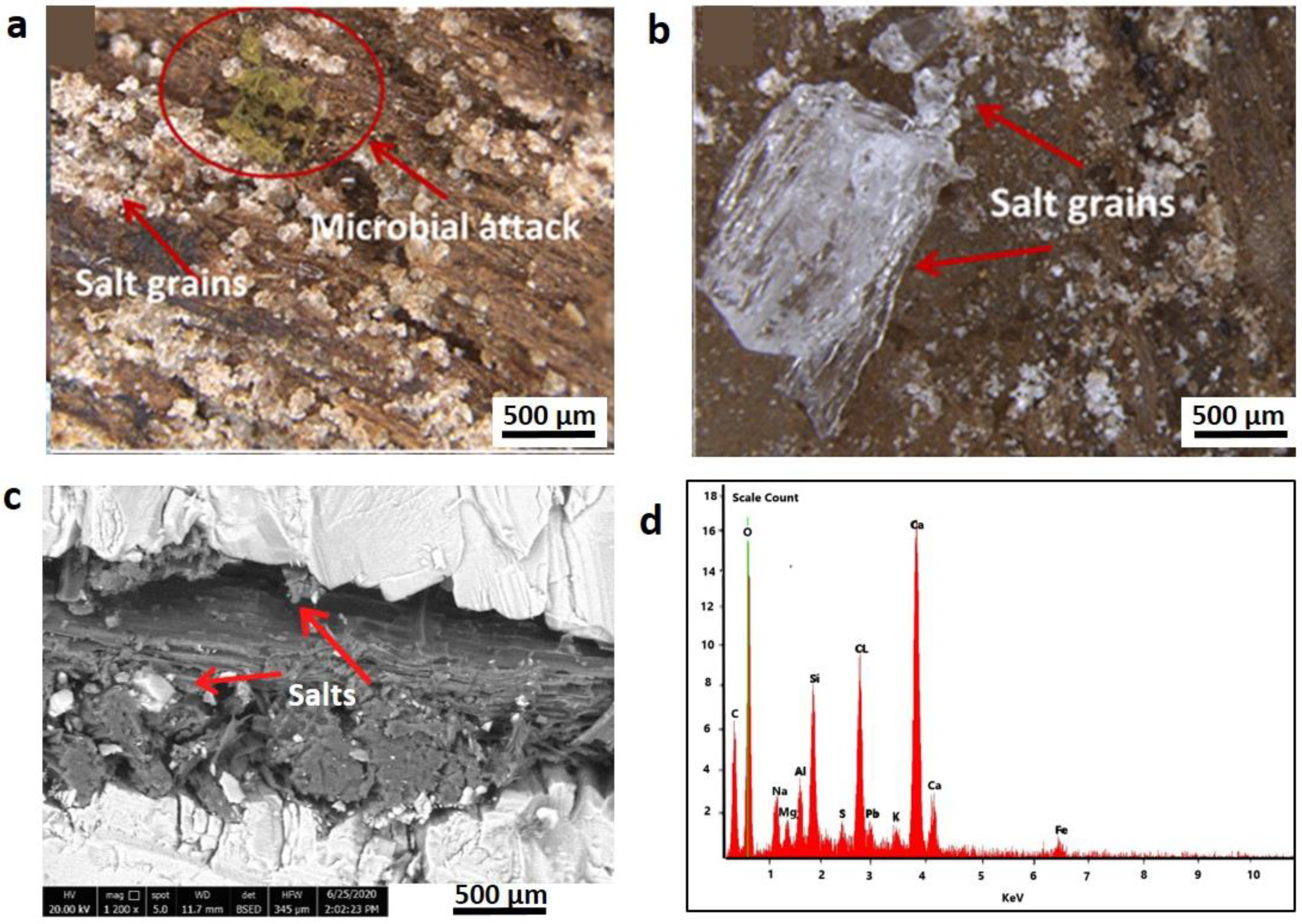 Applsci 12 07020 g003