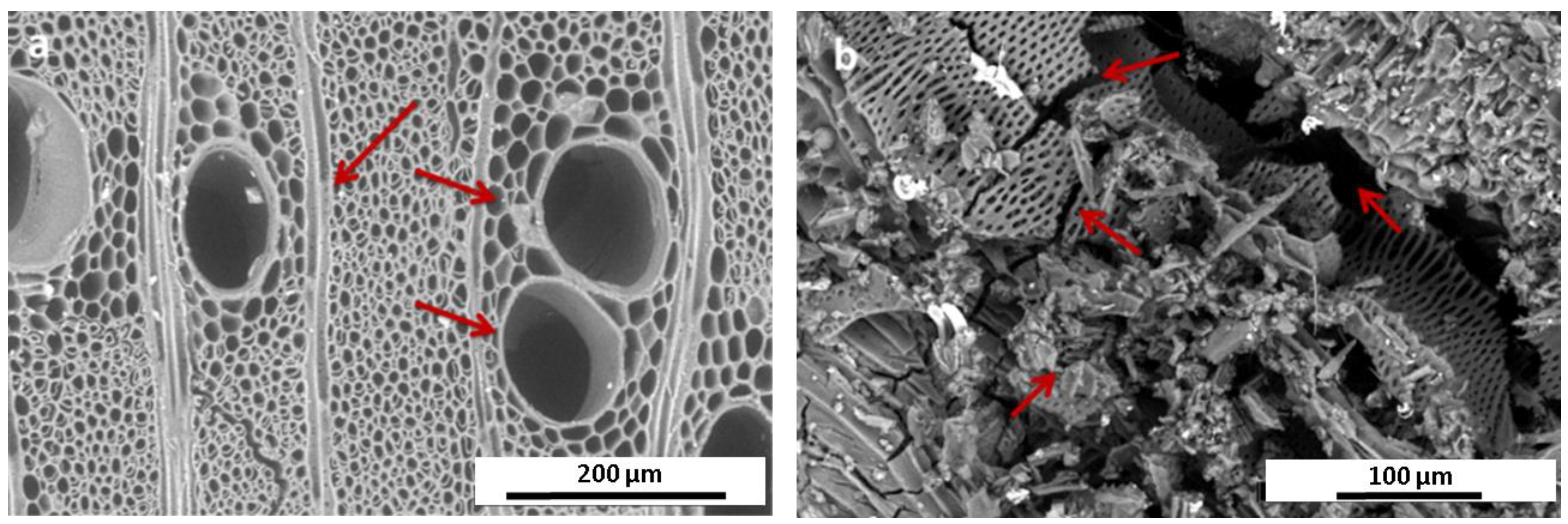 Applsci 12 07020 g006