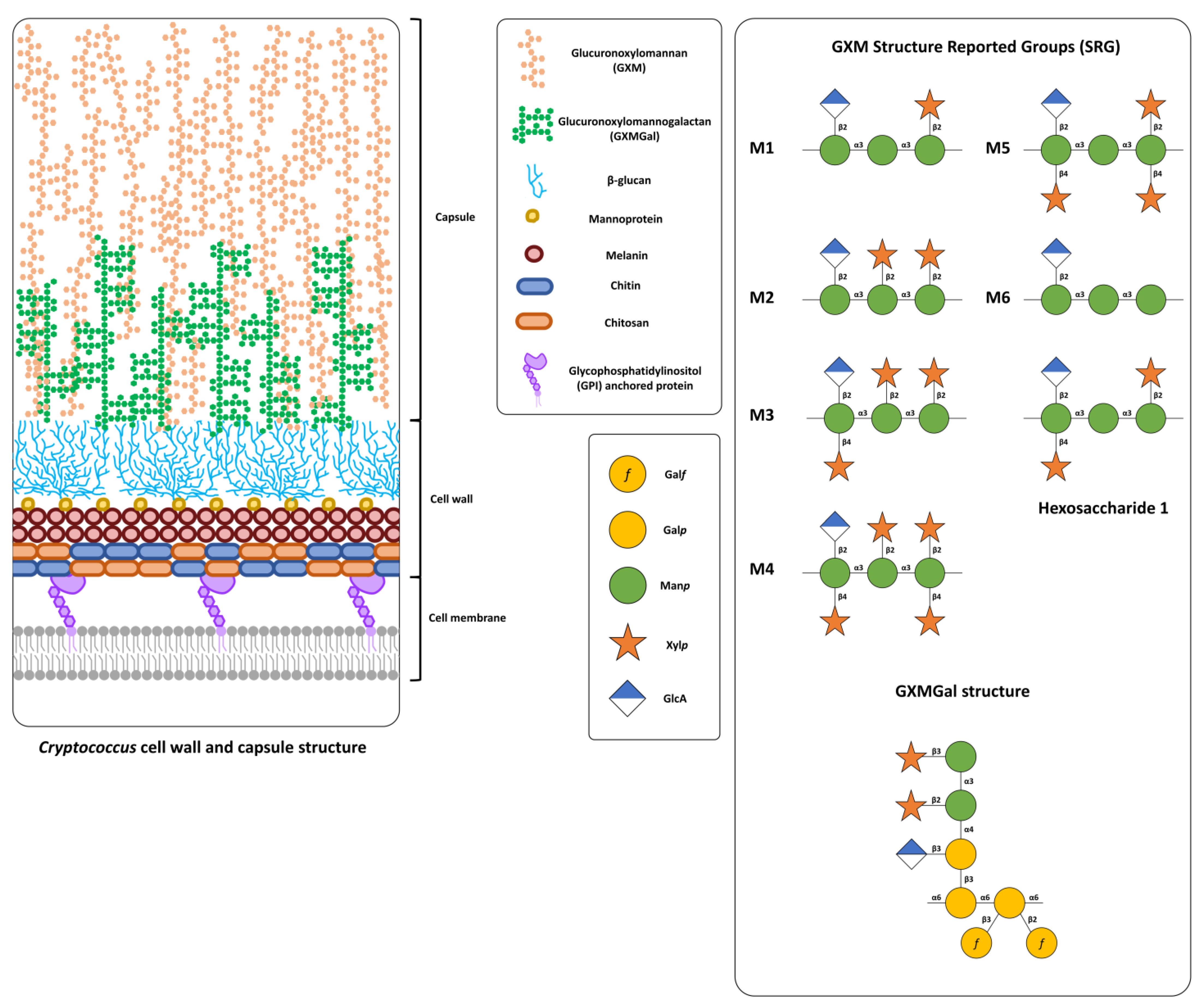 Applsci 12 07086 g001