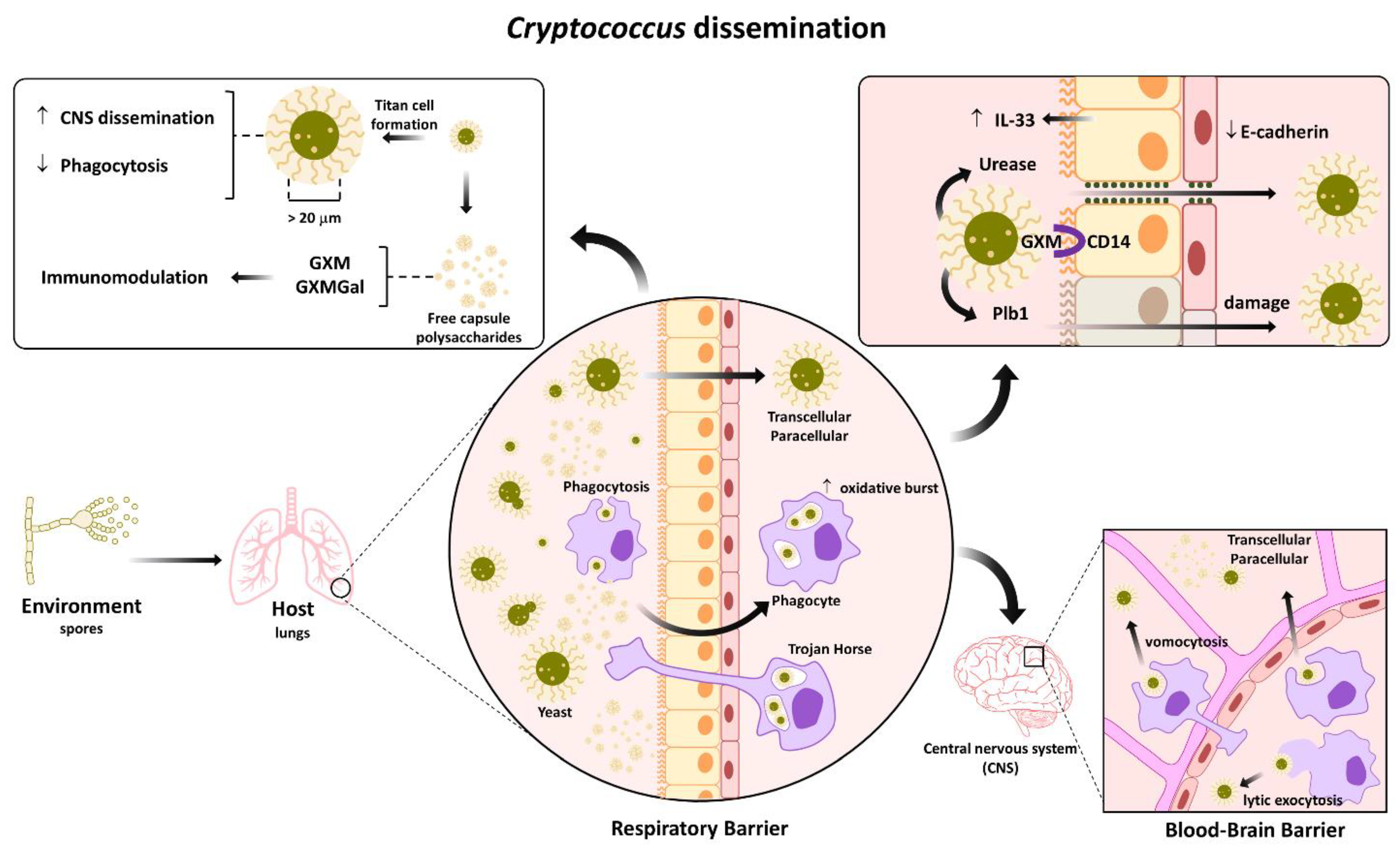 Applsci 12 07086 g002
